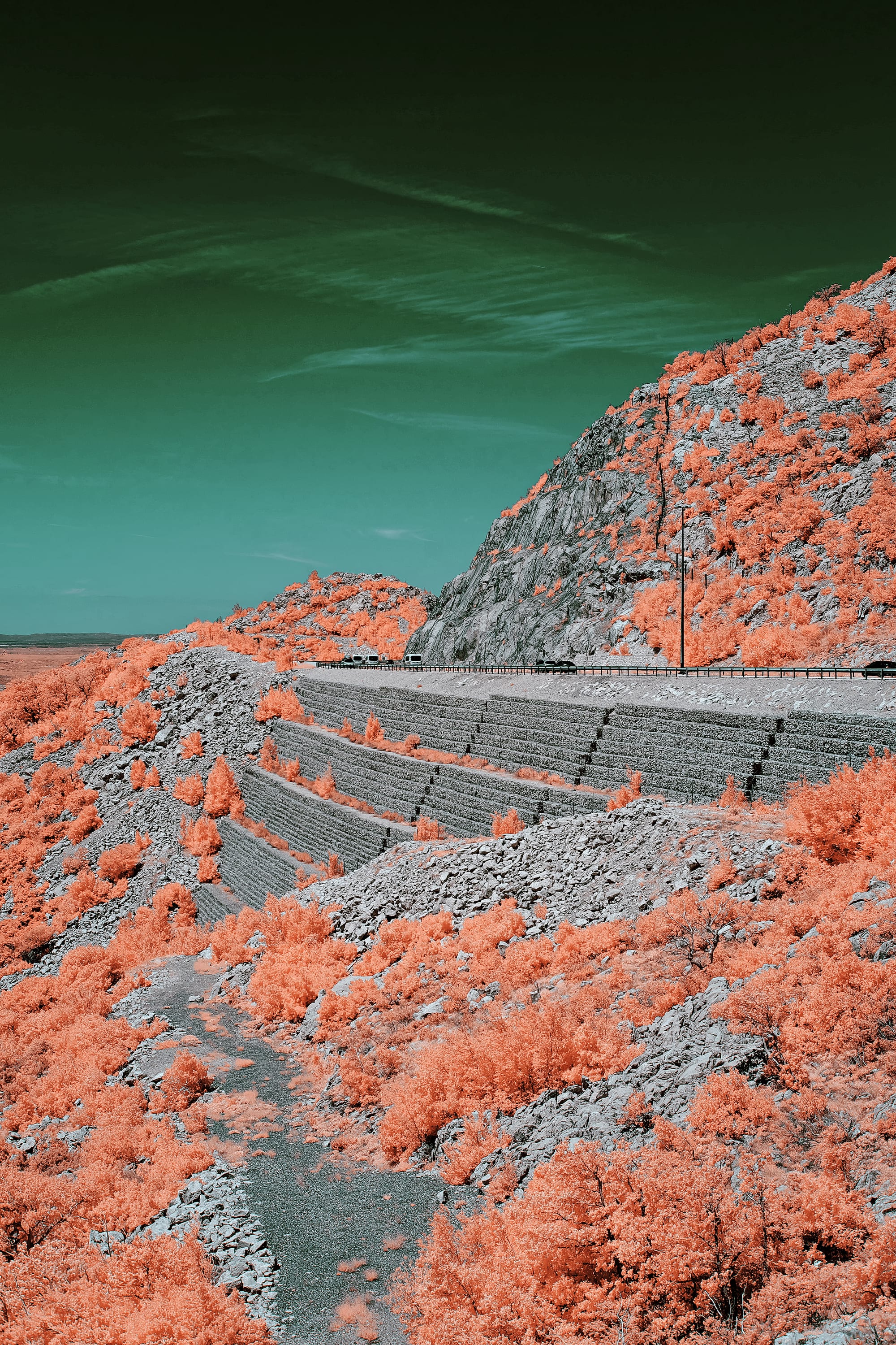 Near-infrared photograph from the Croatia series — description pending curation