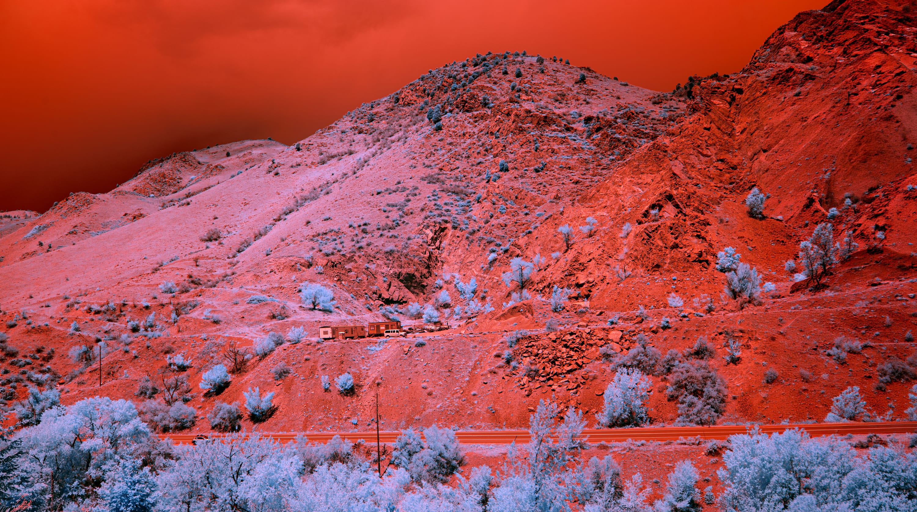 Near-infrared photograph from the Denver series — description pending curation
