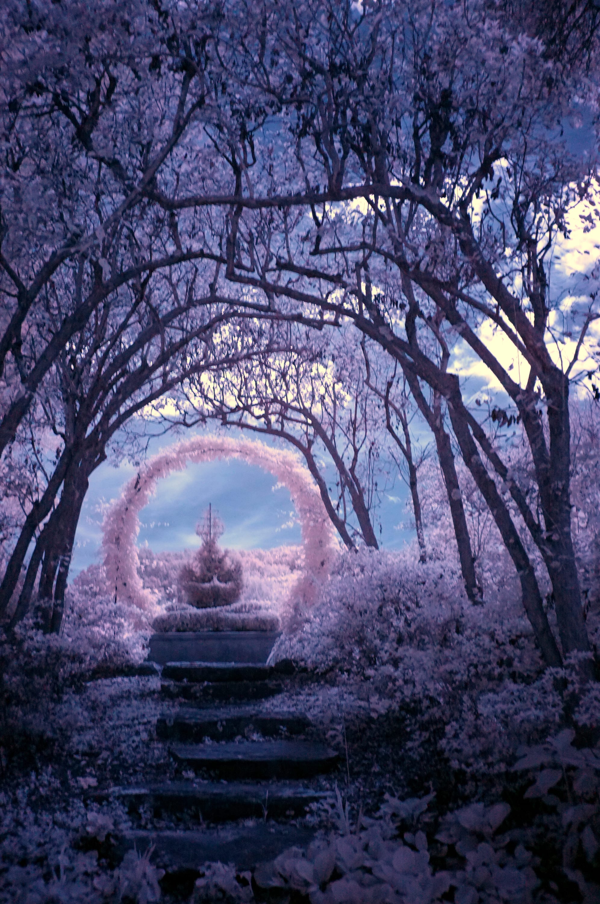 Near-infrared photograph from the First light series — description pending curation