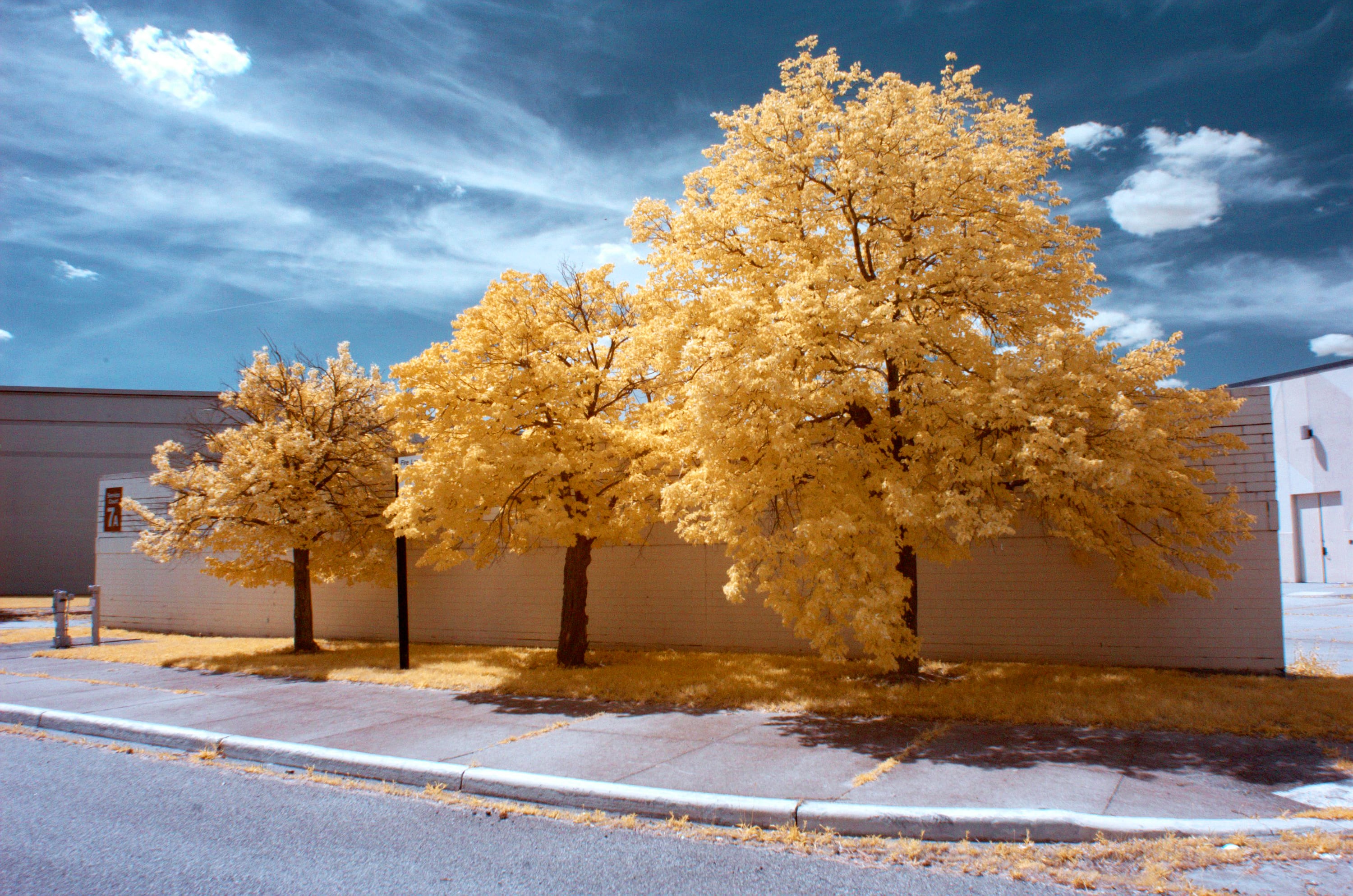 Near-infrared photograph from the First light series — description pending curation
