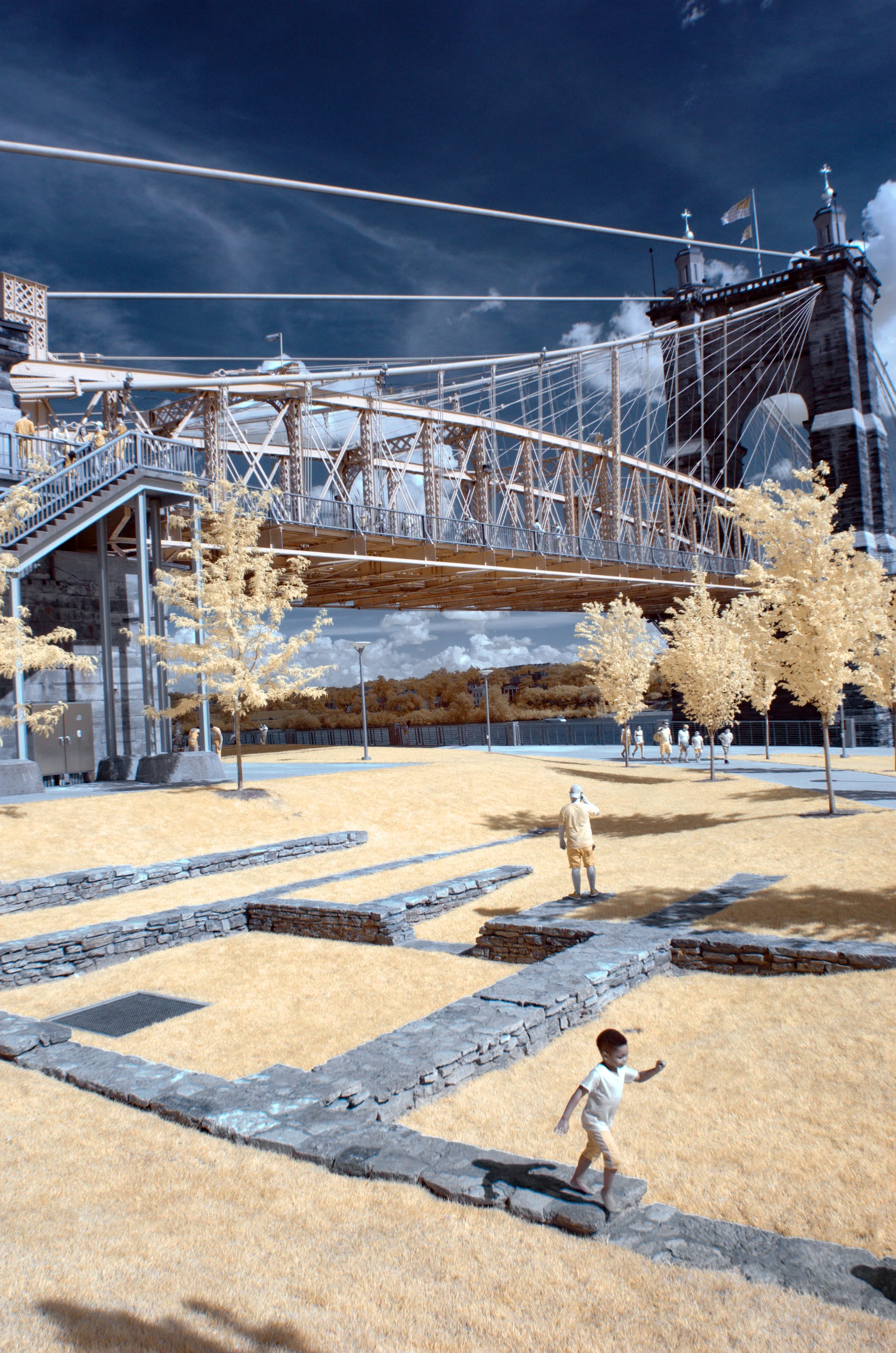 Near-infrared photograph from the First light series — description pending curation