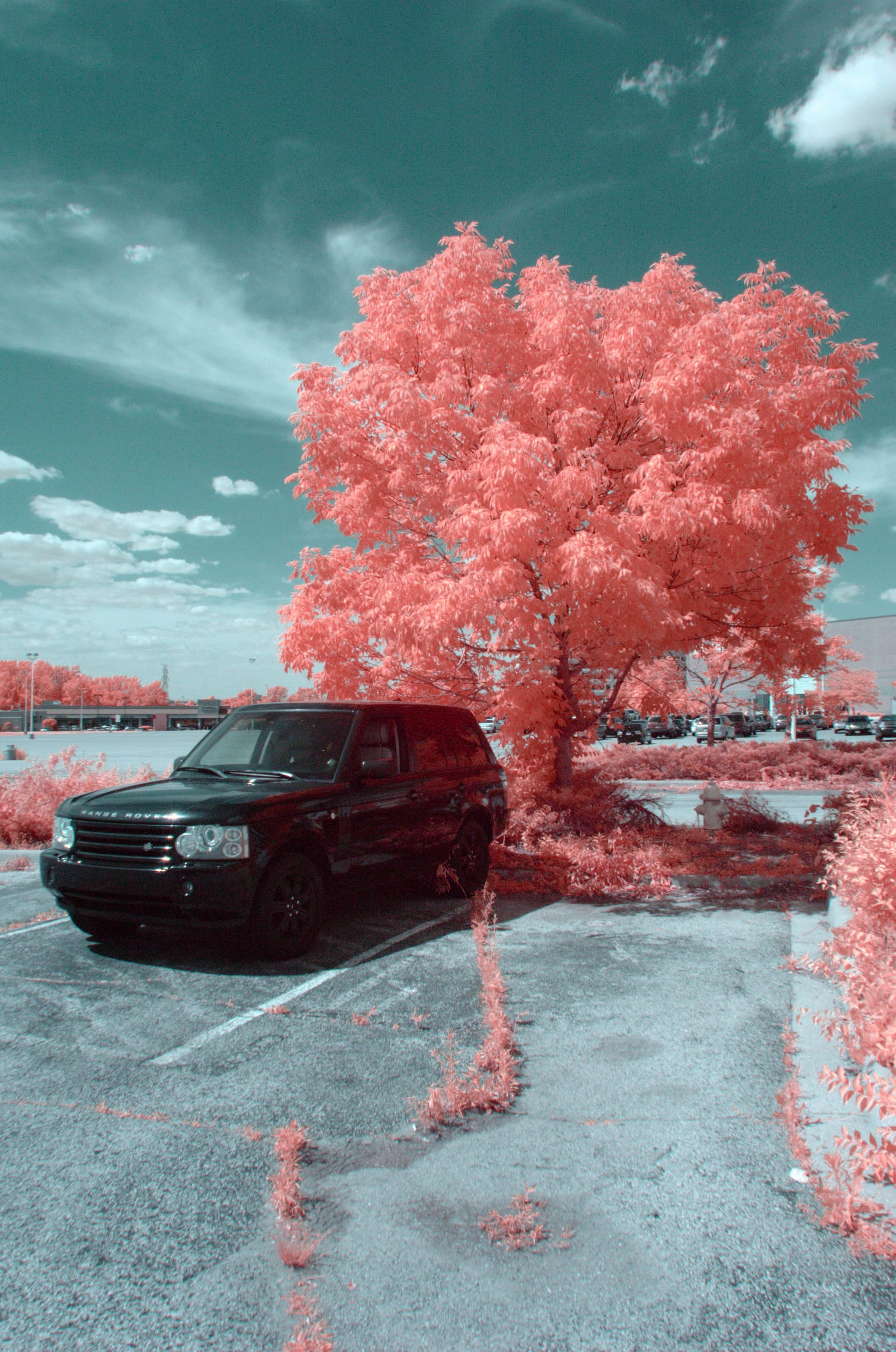 Near-infrared photograph from the First light series — description pending curation