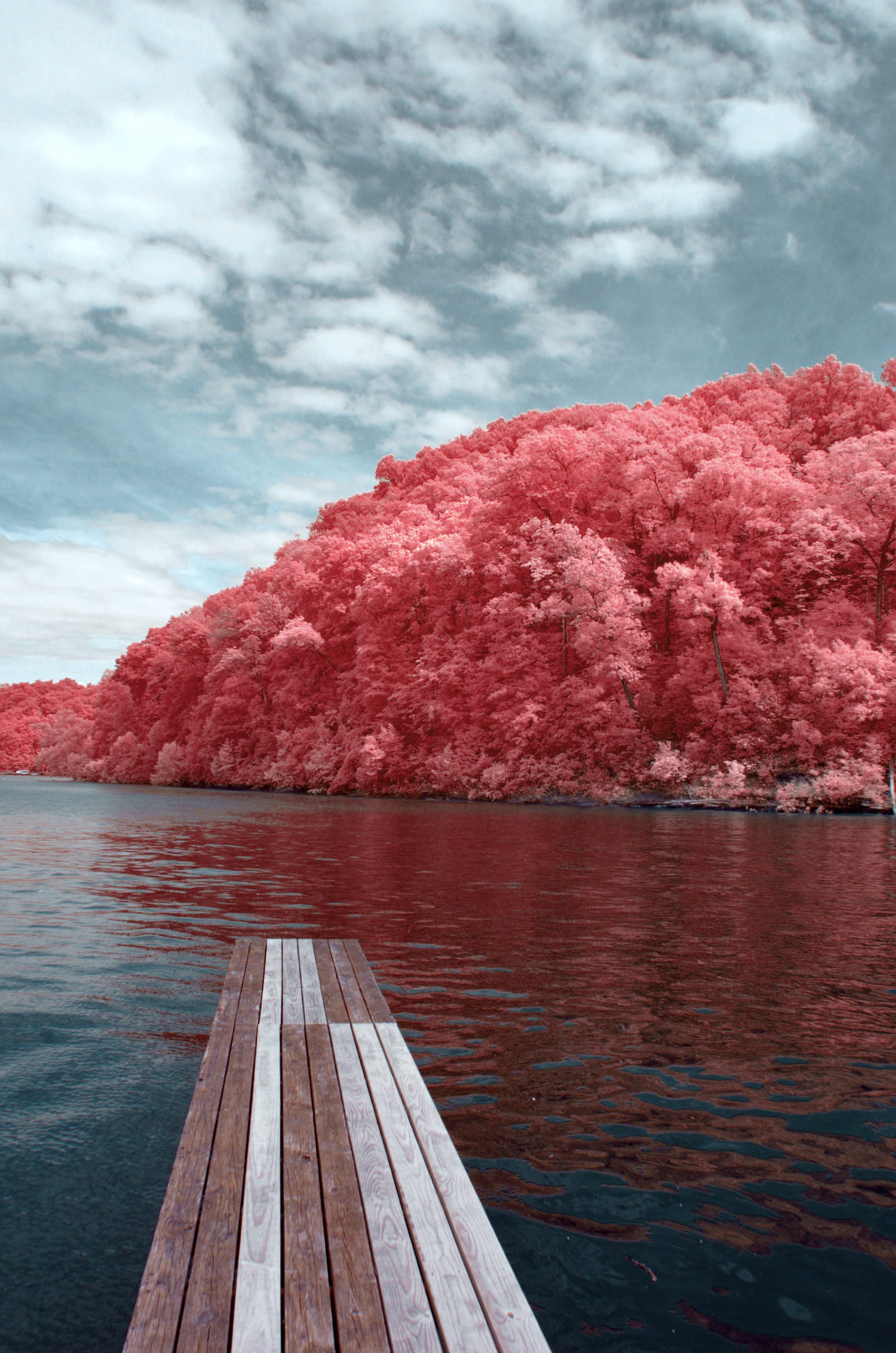 Near-infrared photograph from the First light series — description pending curation