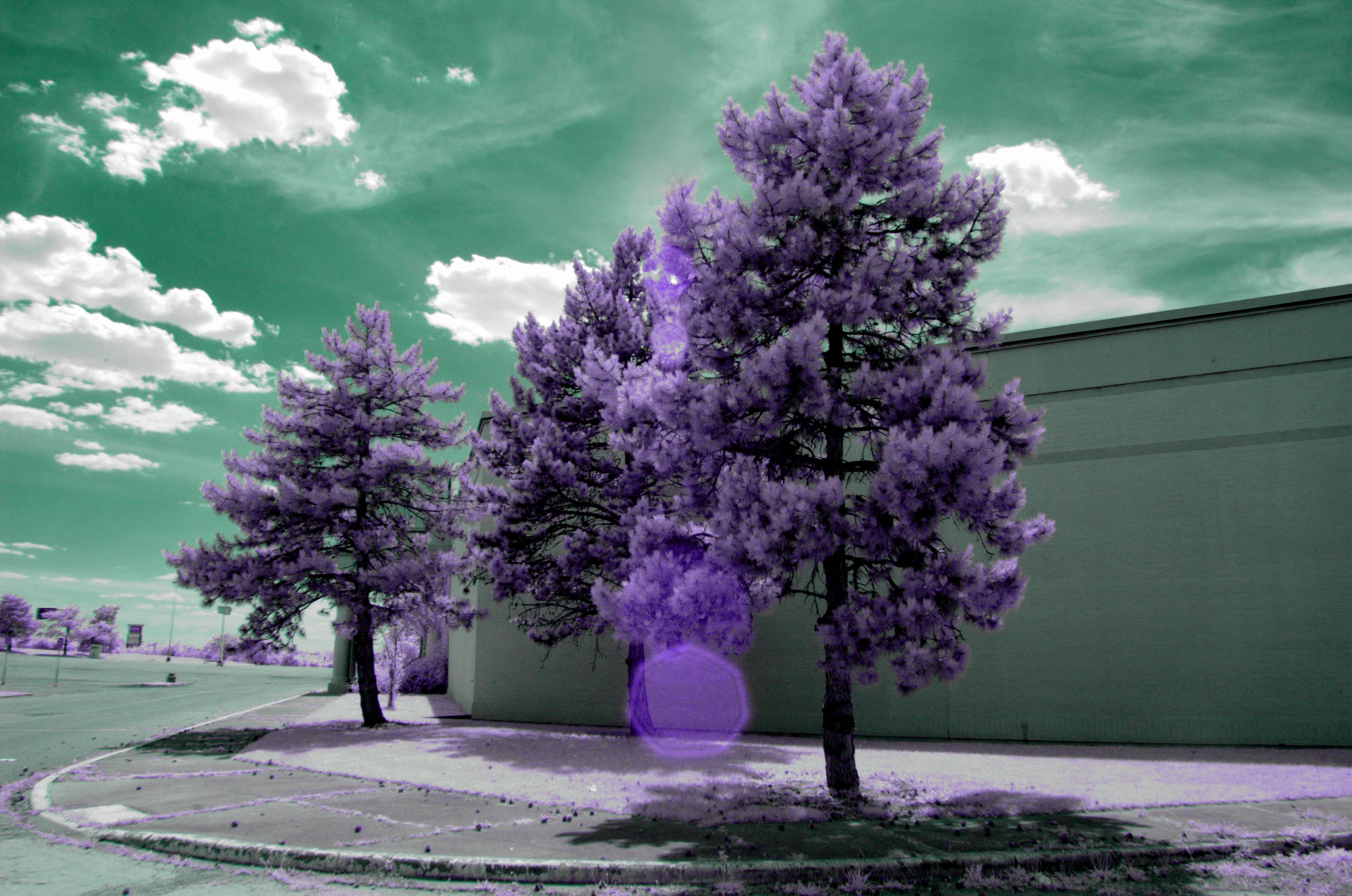 Near-infrared photograph from the First light series — description pending curation