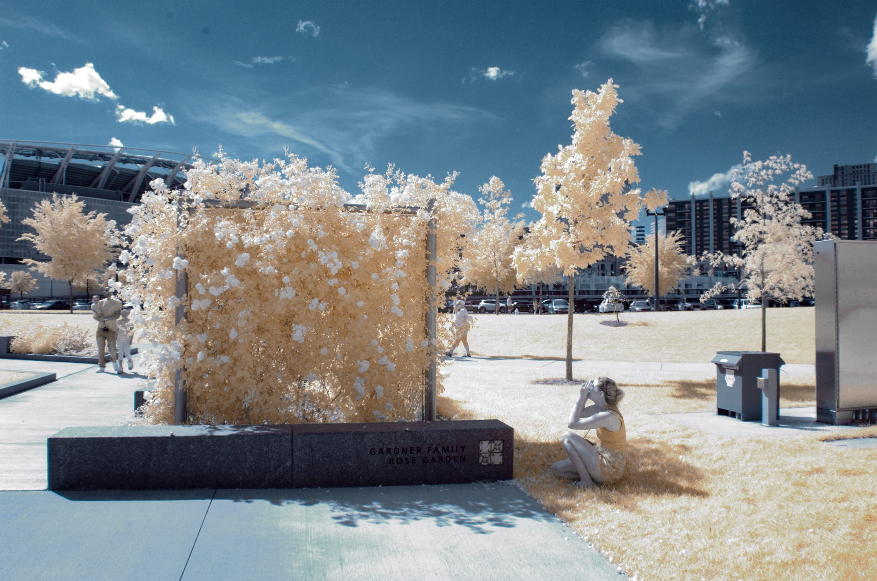 Near-infrared photograph from the First light series — description pending curation
