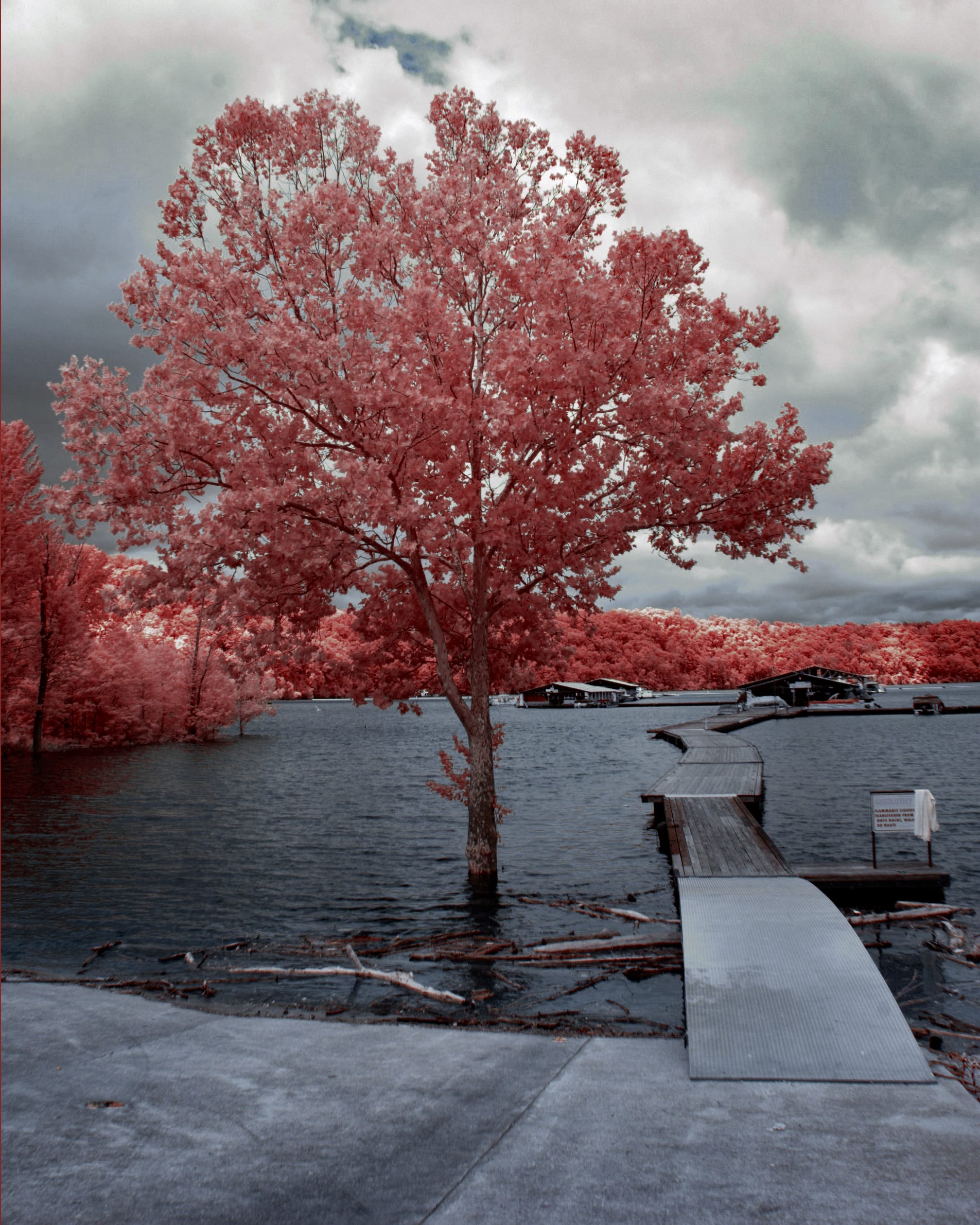 Near-infrared photograph from the First light series — description pending curation