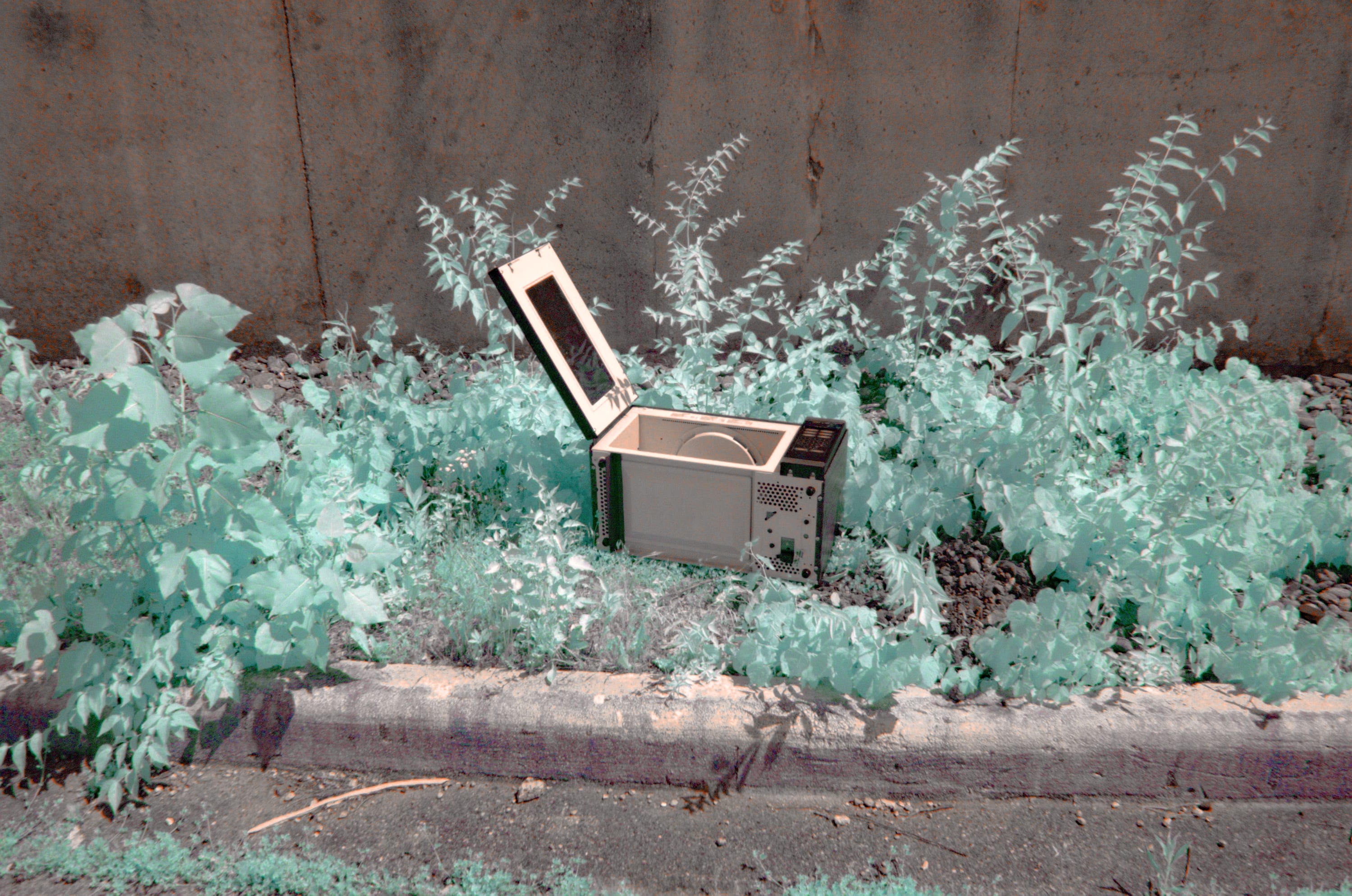 Near-infrared photograph from the First light series — description pending curation
