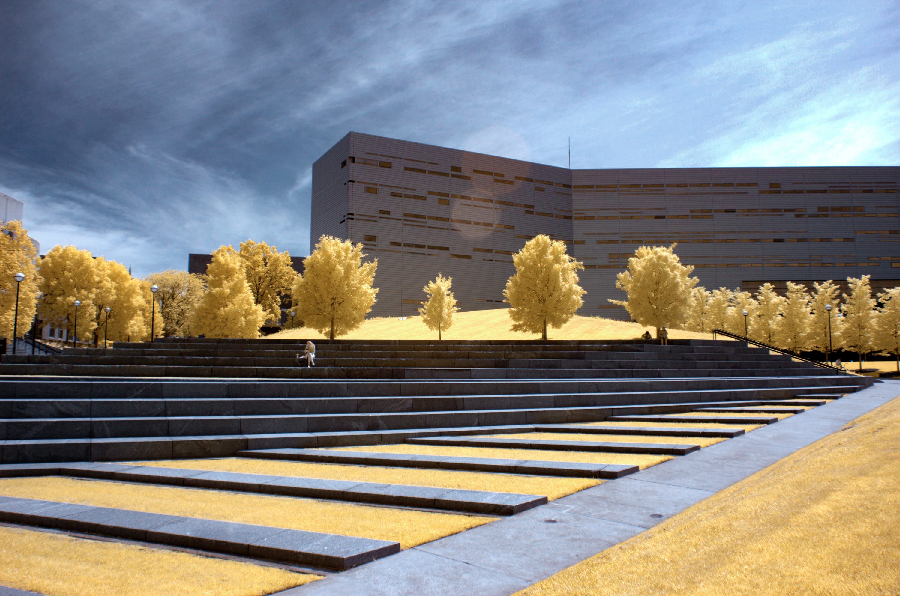 Near-infrared photograph from the First light series — description pending curation