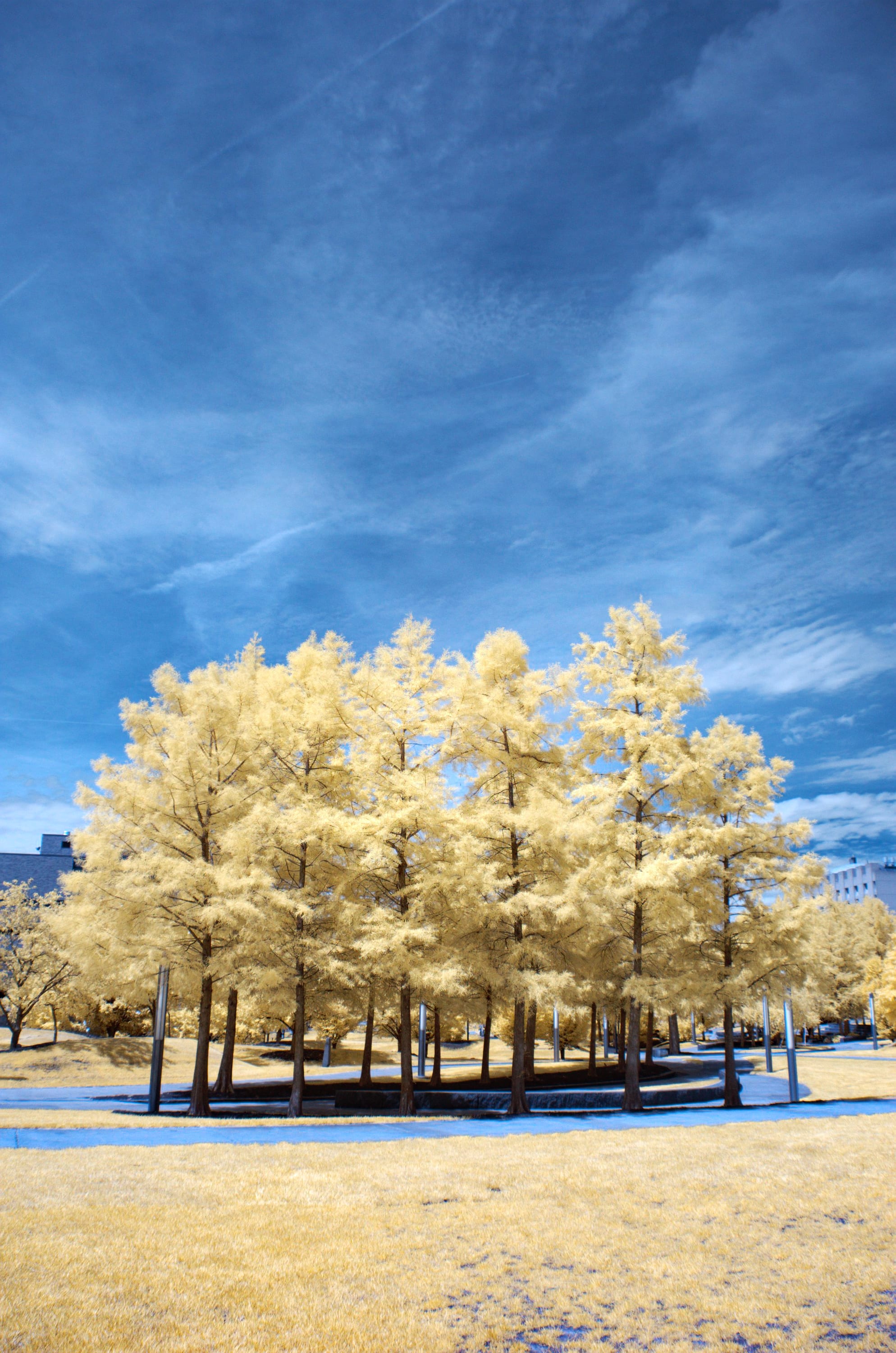 Near-infrared photograph from the First light series — description pending curation