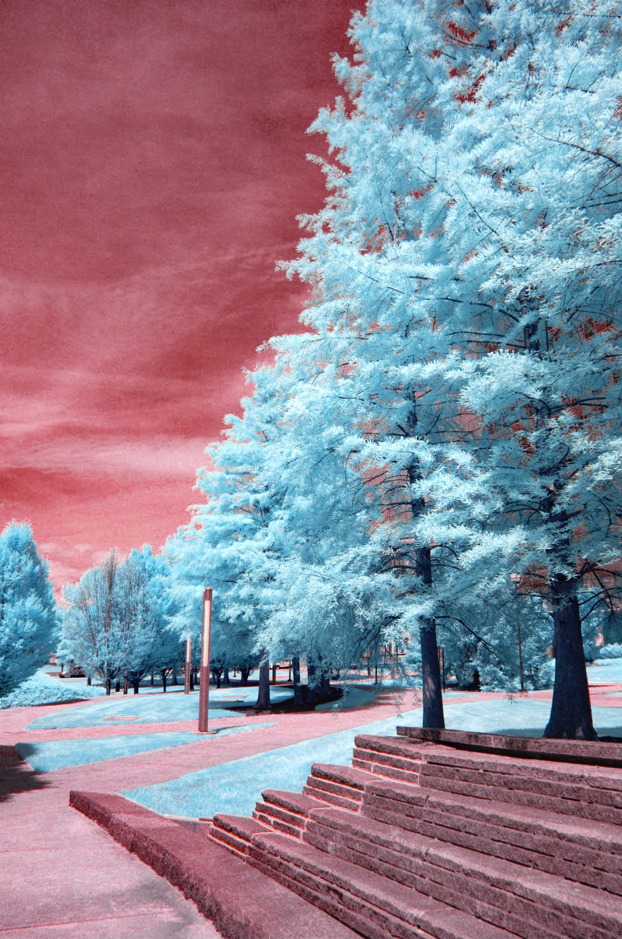 Near-infrared photograph from the First light series — description pending curation
