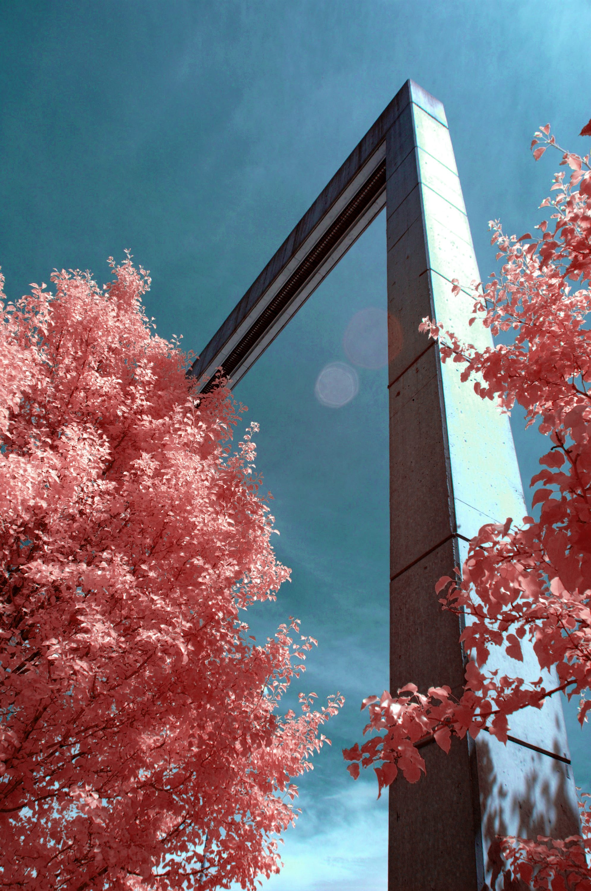 Near-infrared photograph from the First light series — description pending curation
