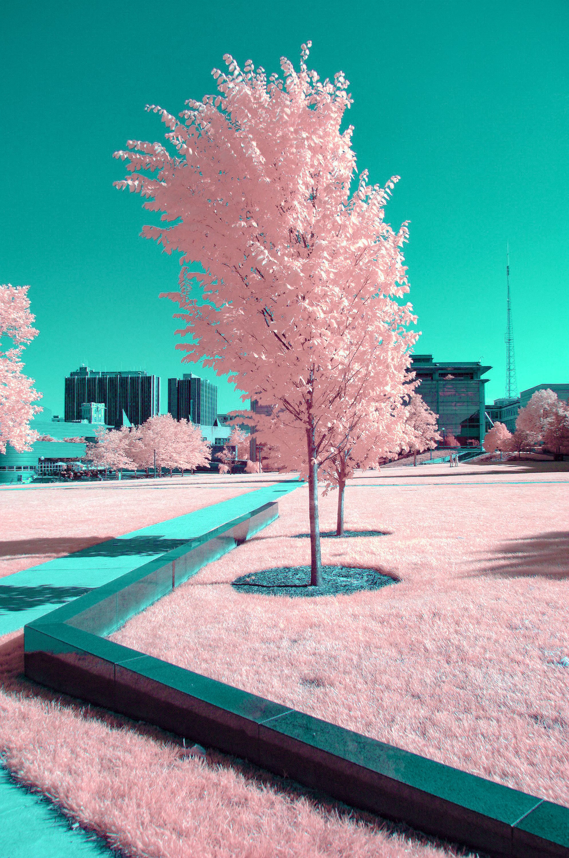 Near-infrared photograph from the First light series — description pending curation