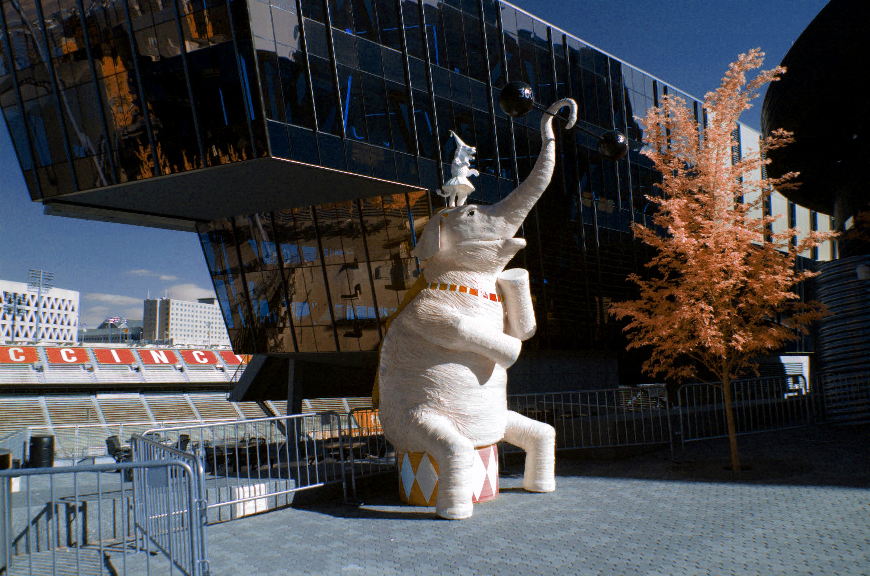 Near-infrared photograph from the First light series — description pending curation