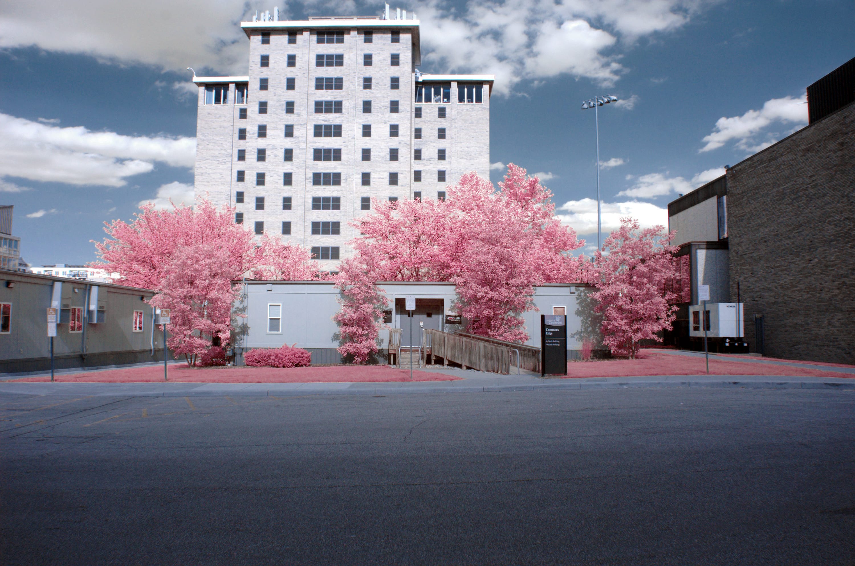 Near-infrared photograph from the First light series — description pending curation