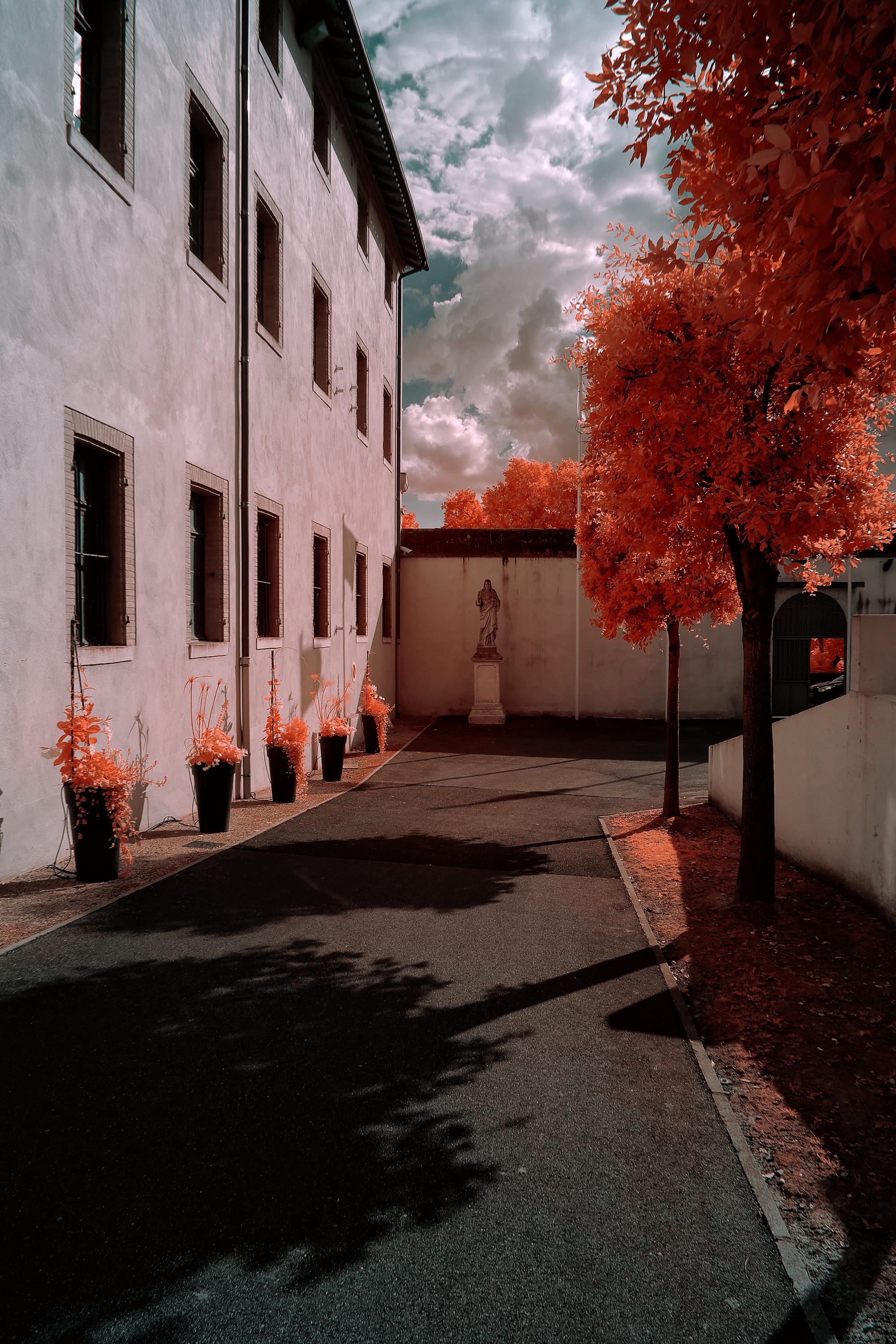 Near-infrared photograph from the France series — description pending curation