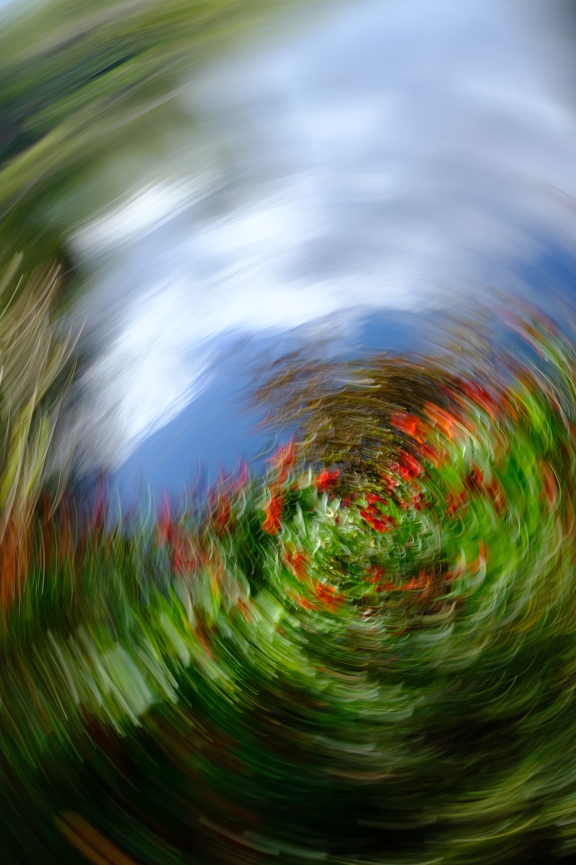 Impressionist camera-movement study from the Giverny series — description pending curation