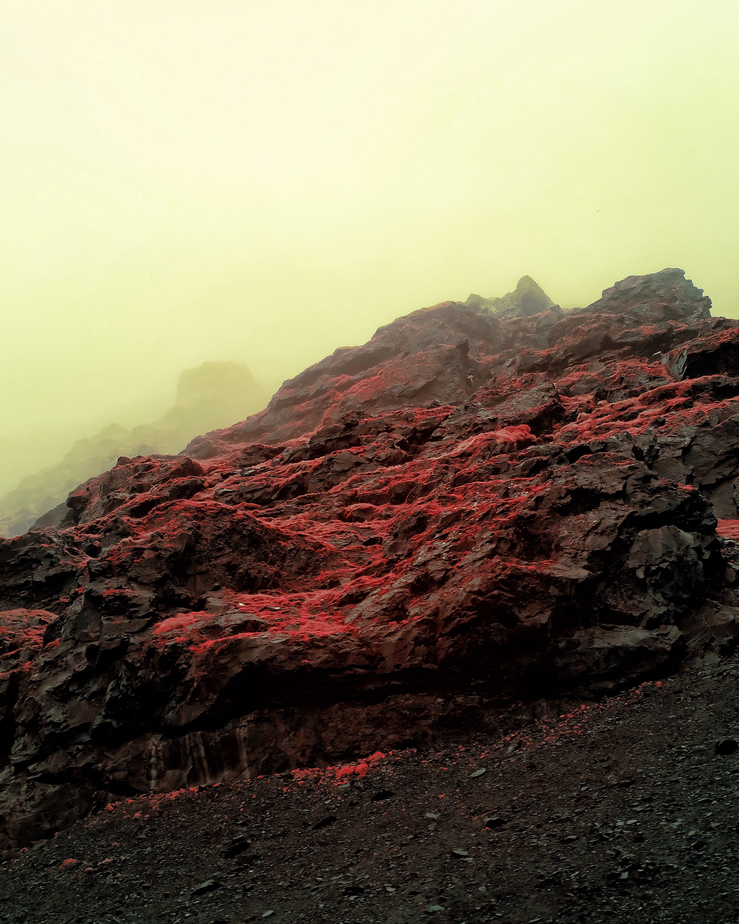 Near-infrared photograph from the Iceland series — description pending curation
