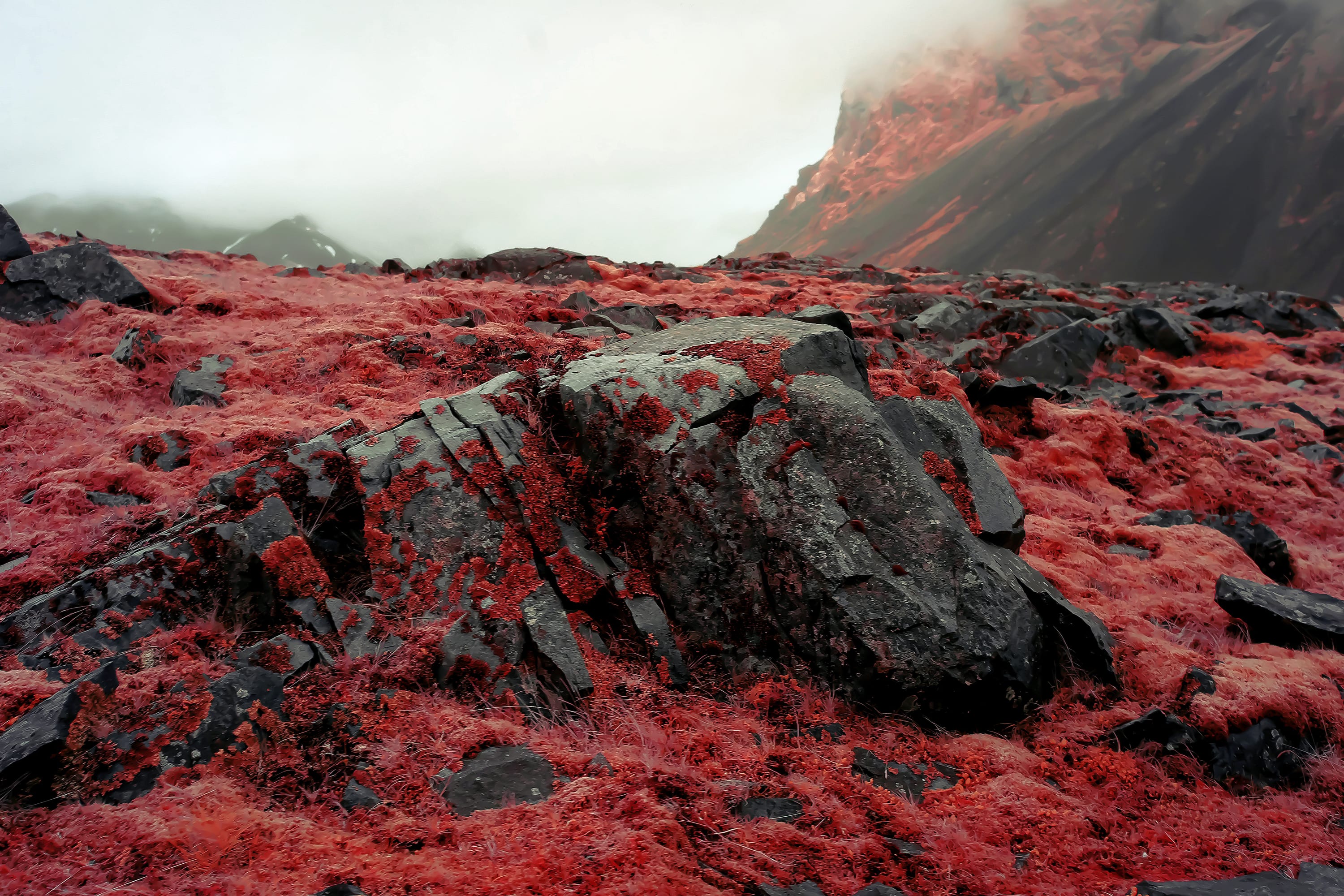 Near-infrared photograph from the Iceland series — description pending curation