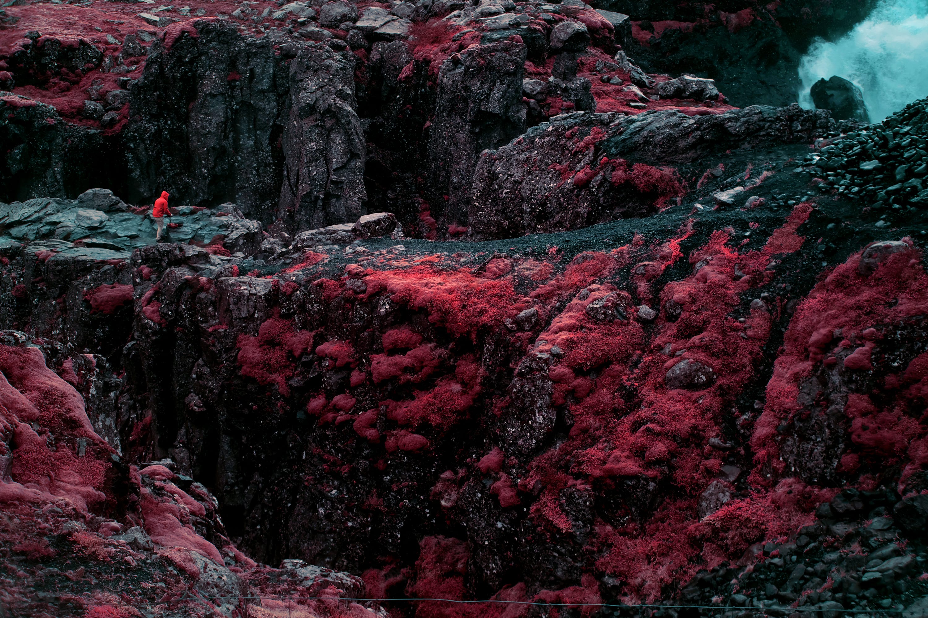 Near-infrared photograph from the Iceland series — description pending curation