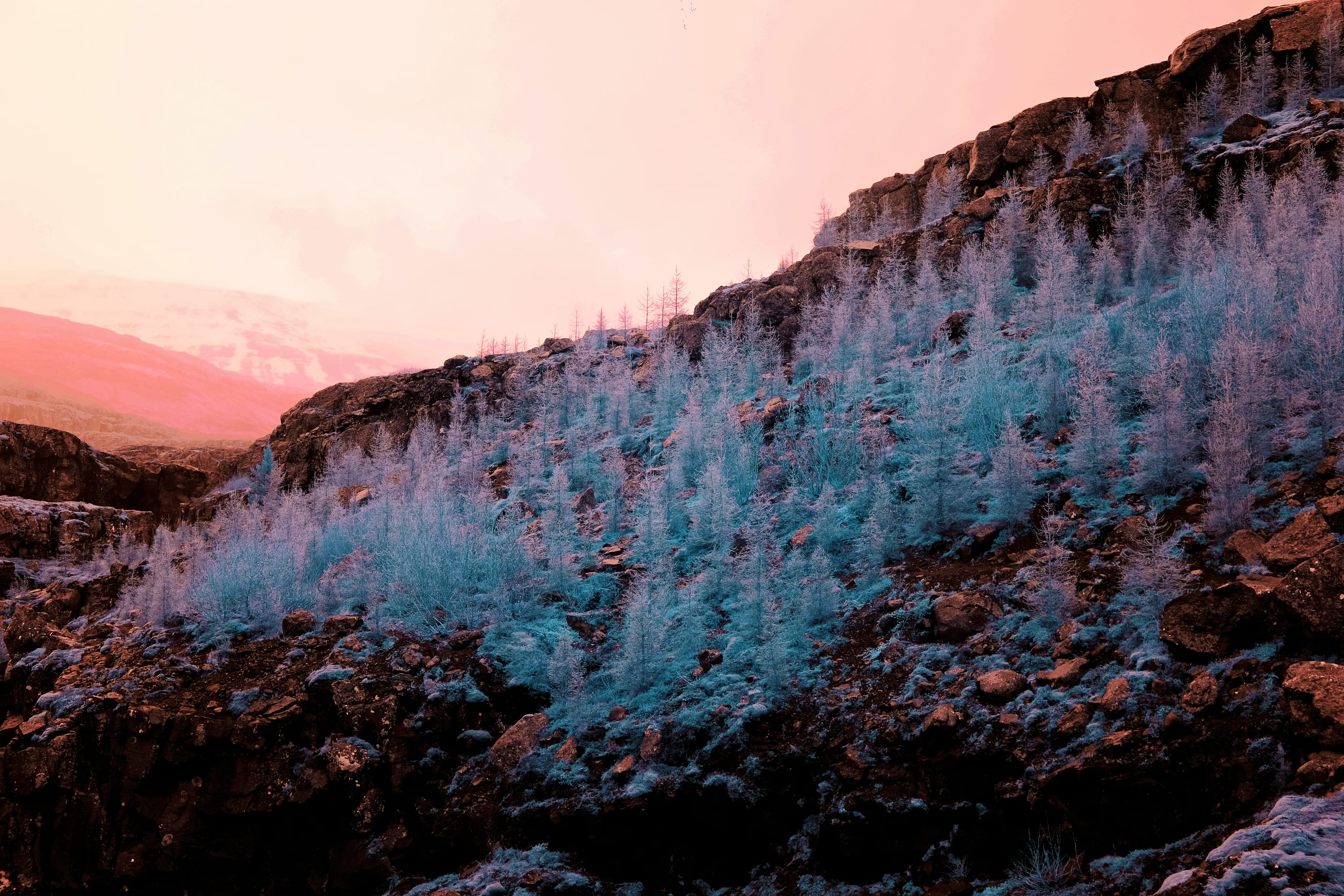 Near-infrared photograph from the Iceland series — description pending curation