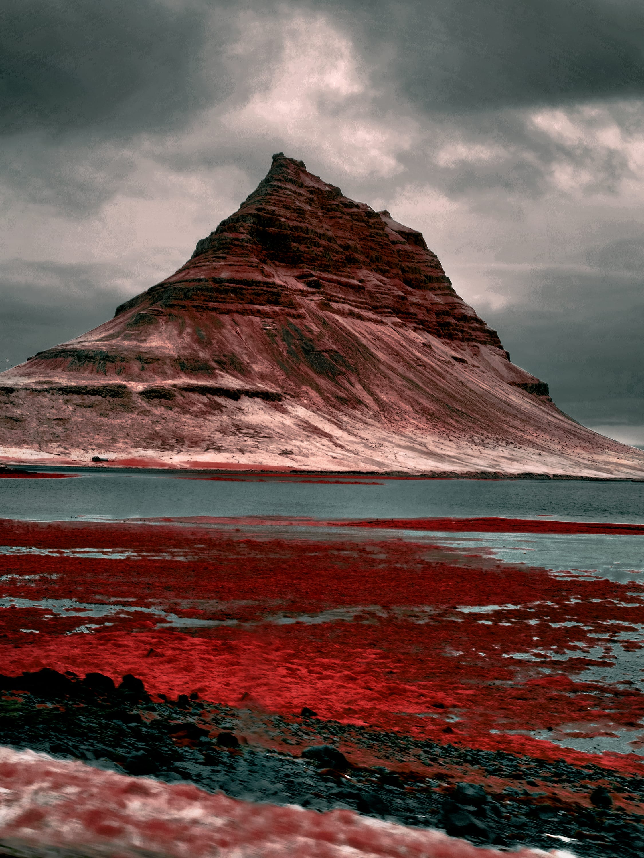 Near-infrared photograph from the Iceland series — description pending curation