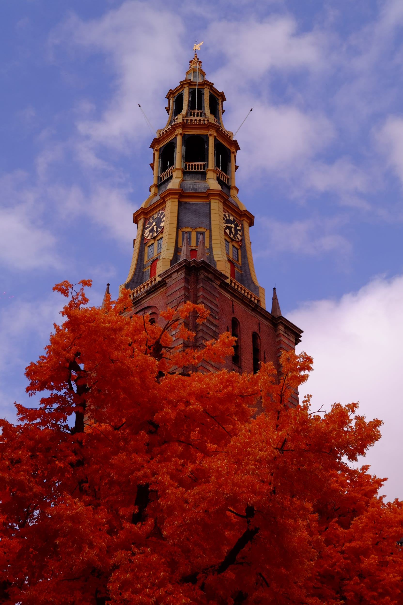 Near-infrared photograph from the Netherlands series — description pending curation