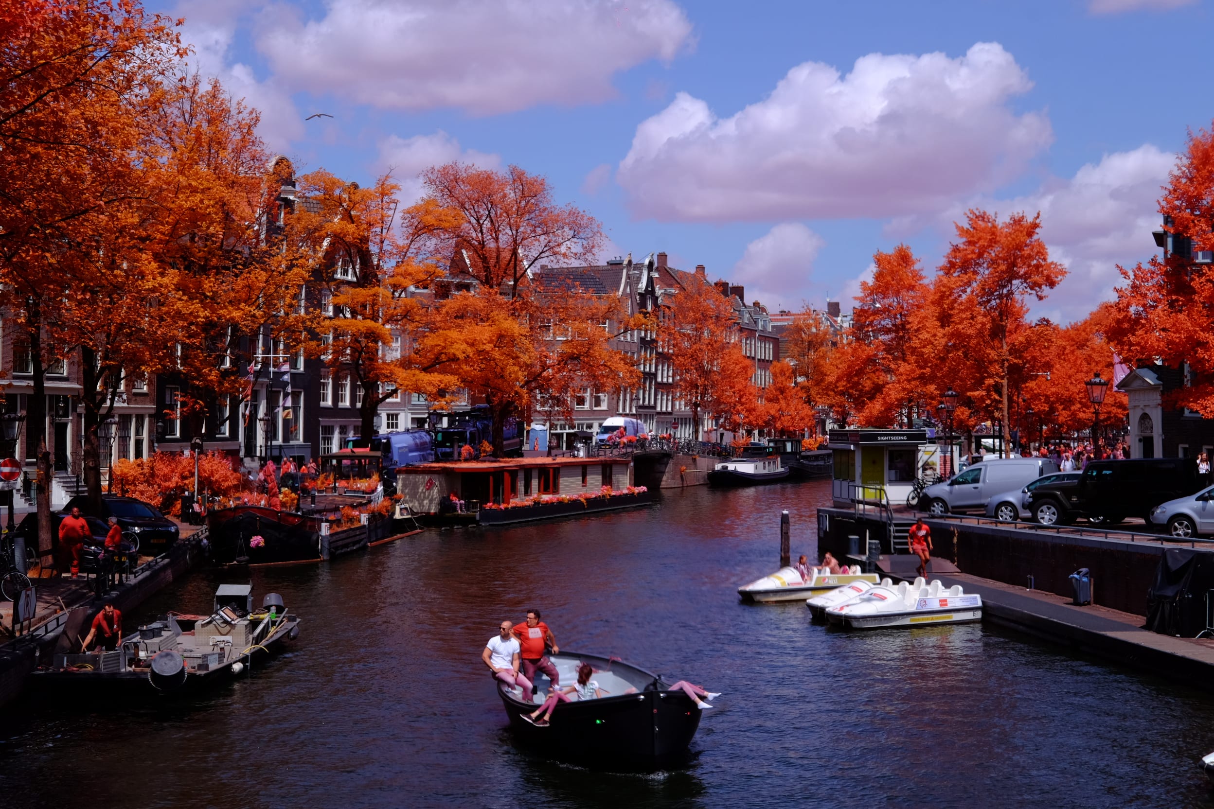 Near-infrared photograph from the Netherlands series — description pending curation