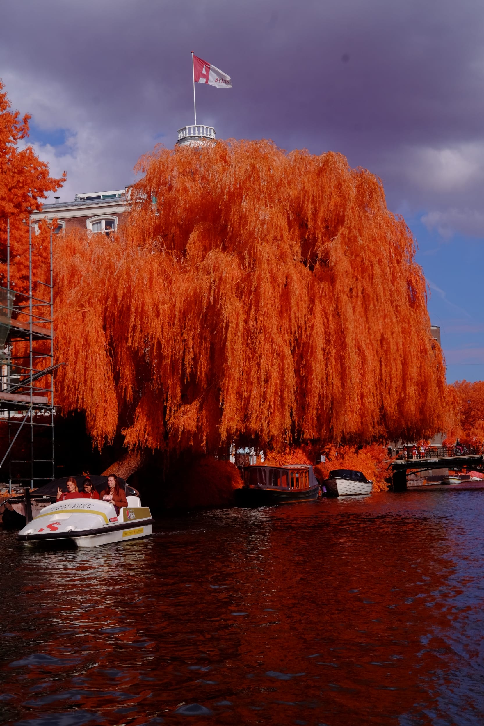 Near-infrared photograph from the Netherlands series — description pending curation