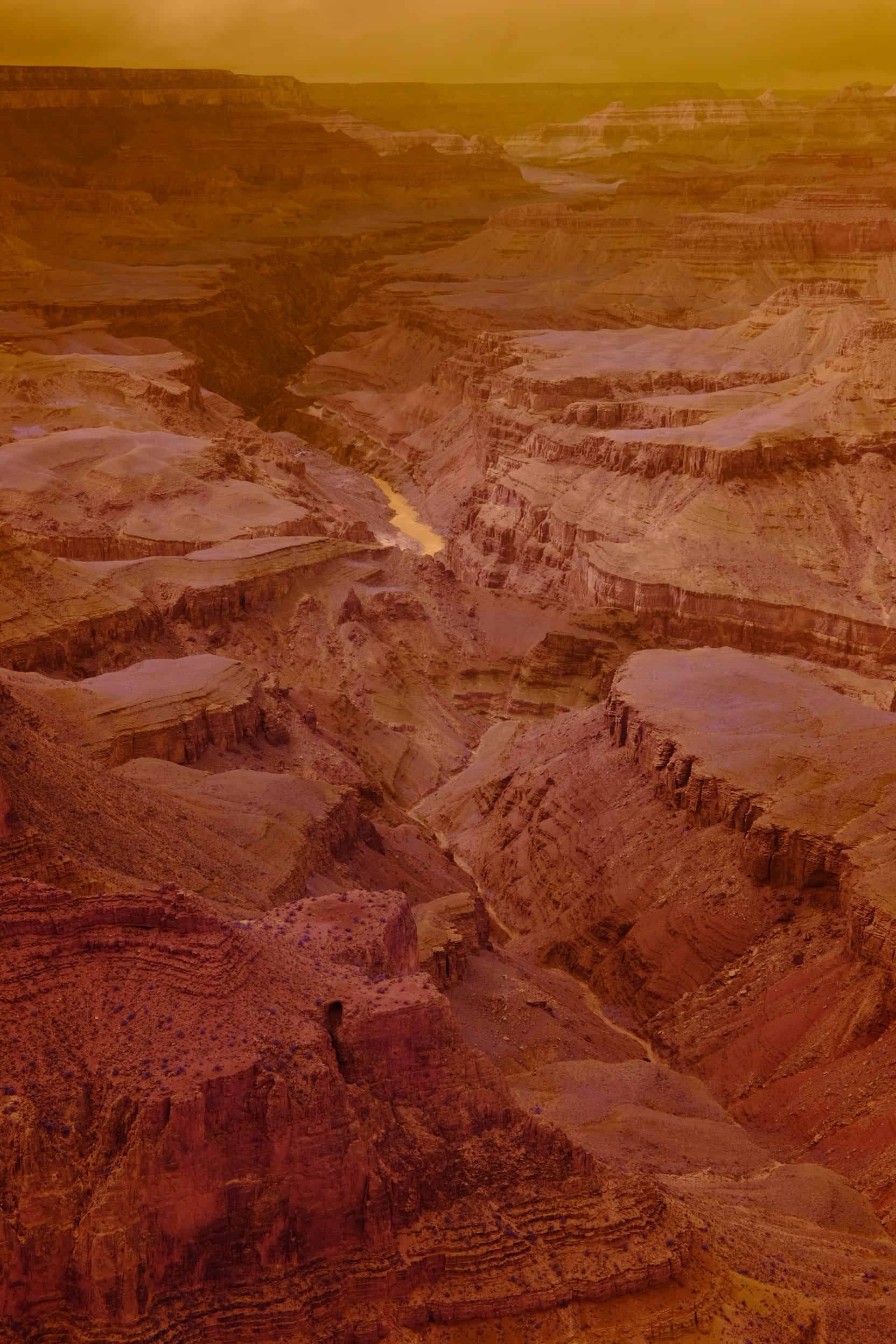 Near-infrared photograph from the Southwest series — description pending curation