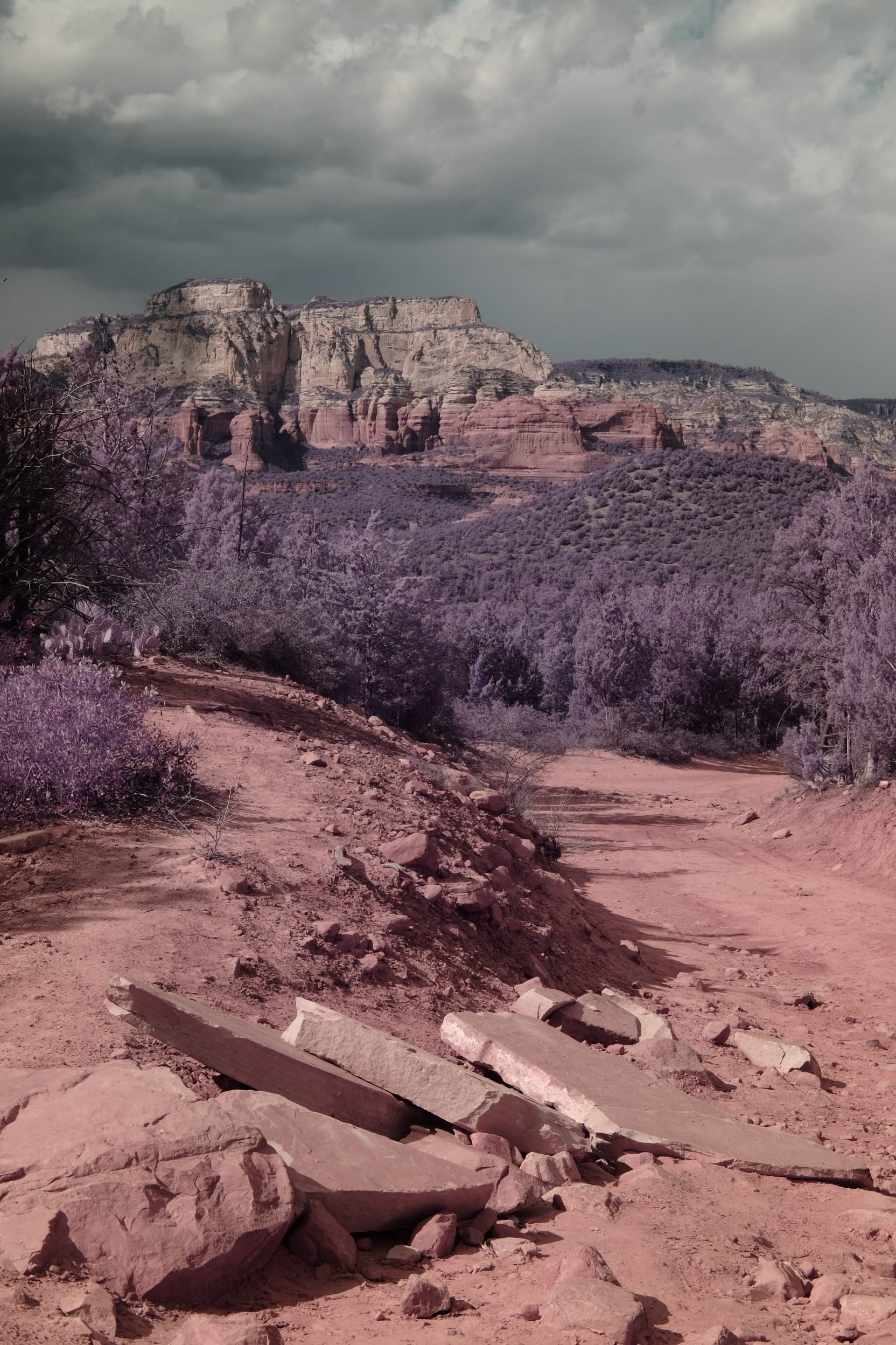Near-infrared photograph from the Southwest series — description pending curation