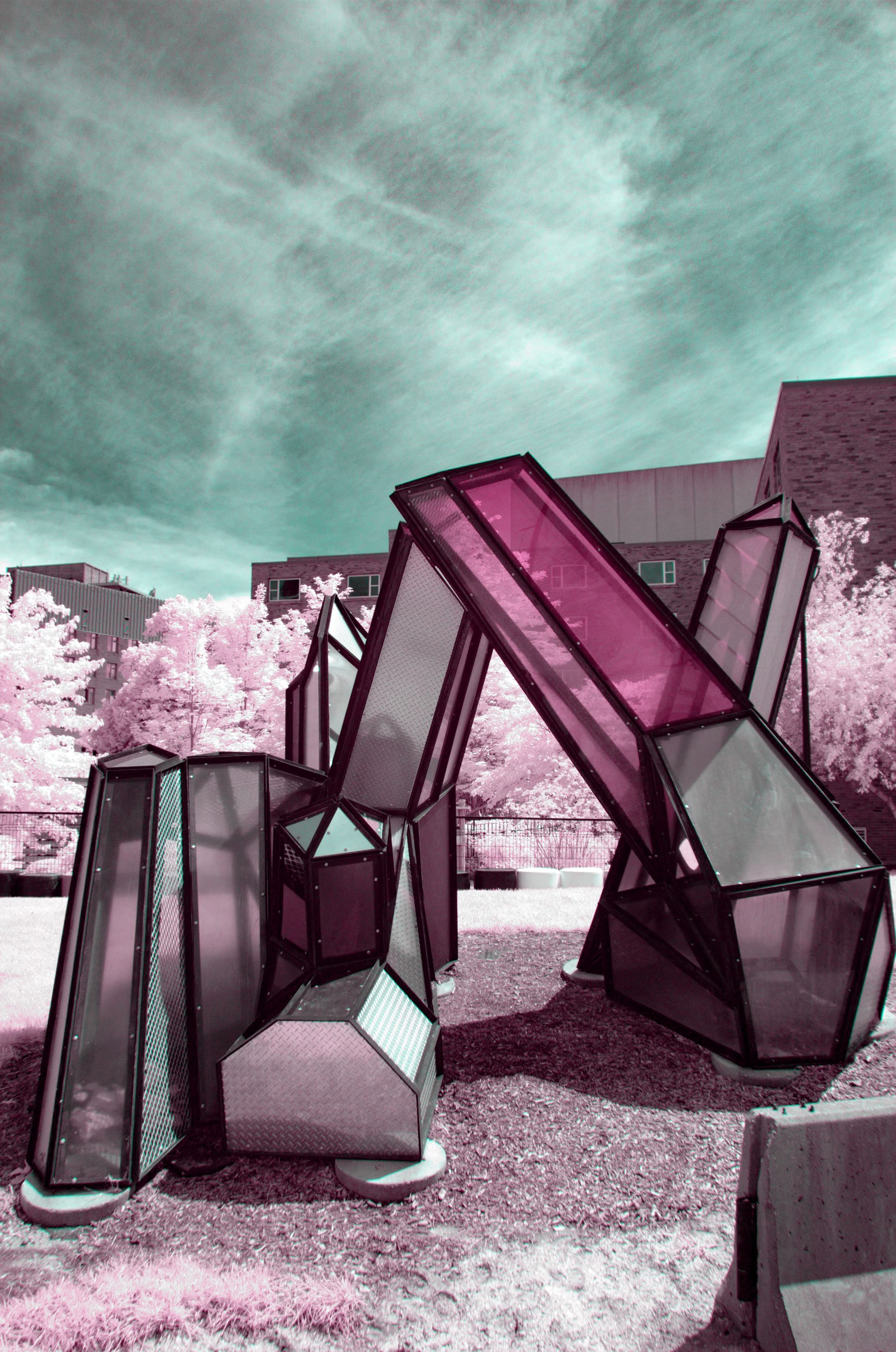 Near-infrared photograph from the Take two series — description pending curation