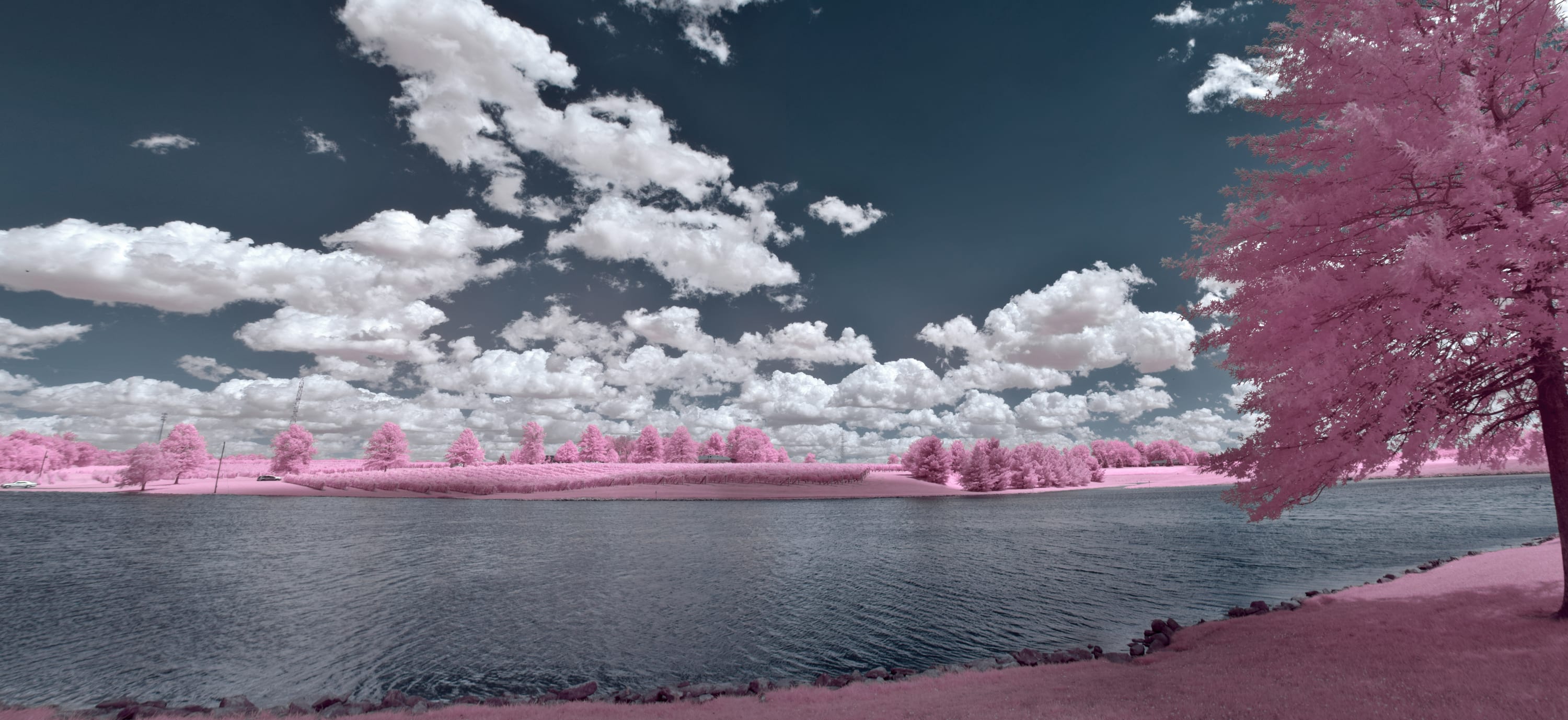 Near-infrared photograph from the Take two series — description pending curation