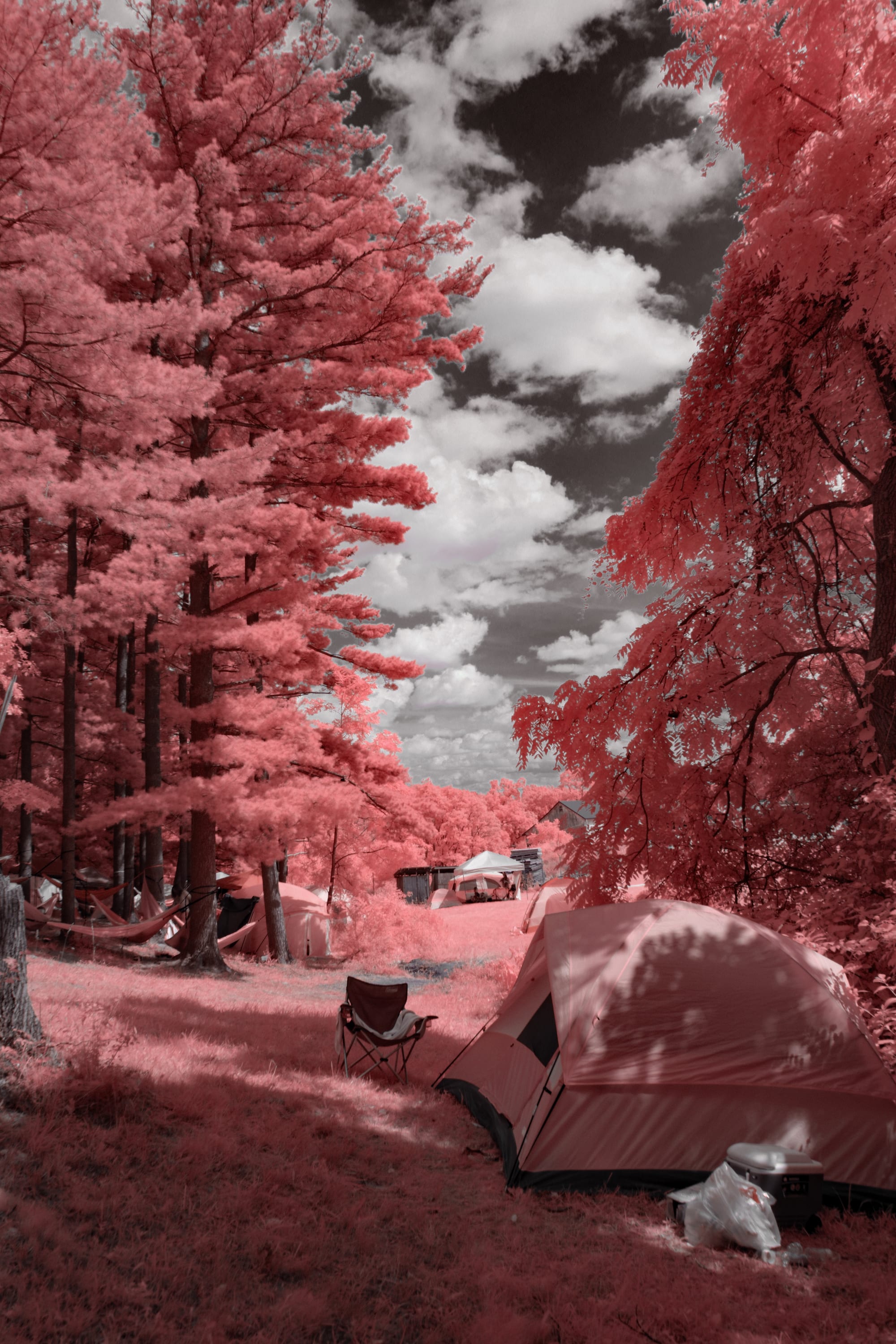 Near-infrared photograph from the Take two series — description pending curation