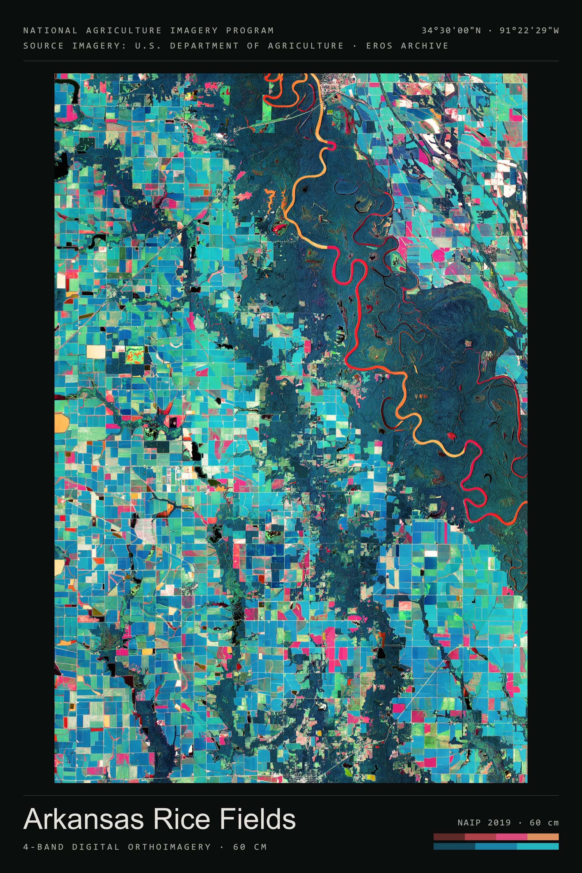 Arkansas Rice Fields NAIP 2019 · Poster — portrait · 3:2, titled sheet