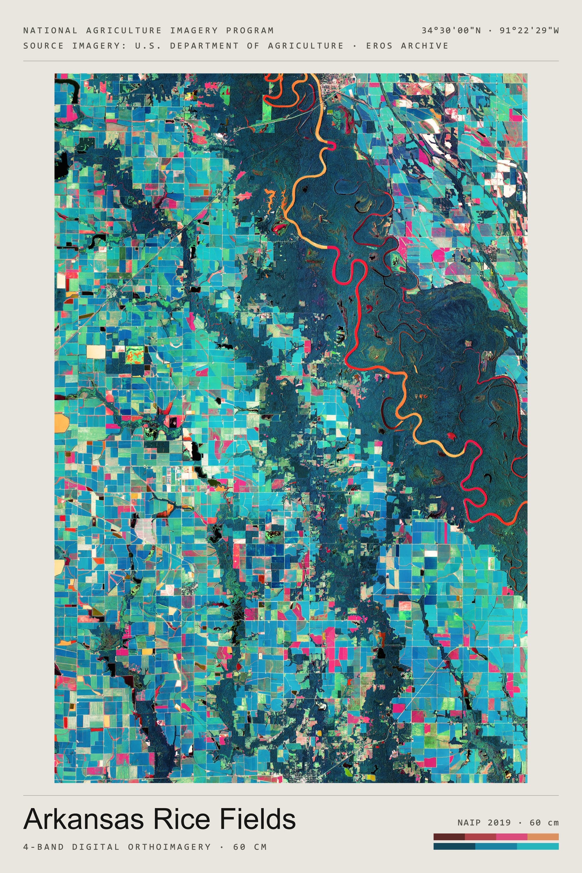 Arkansas Rice Fields — naip 2019, portrait · 3:2, titled print