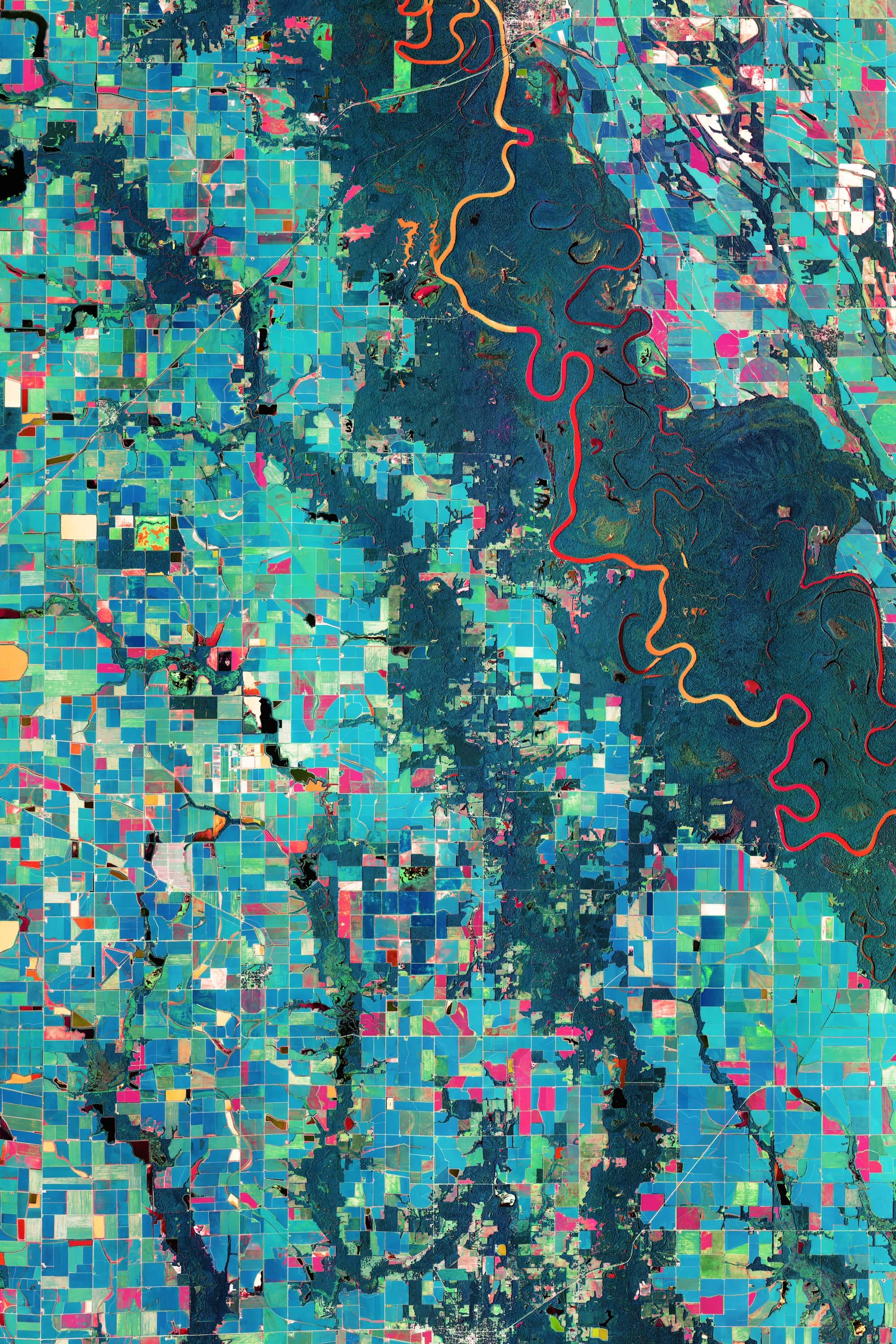 Arkansas Rice Fields NAIP 2019 — naip 2019, survey composite