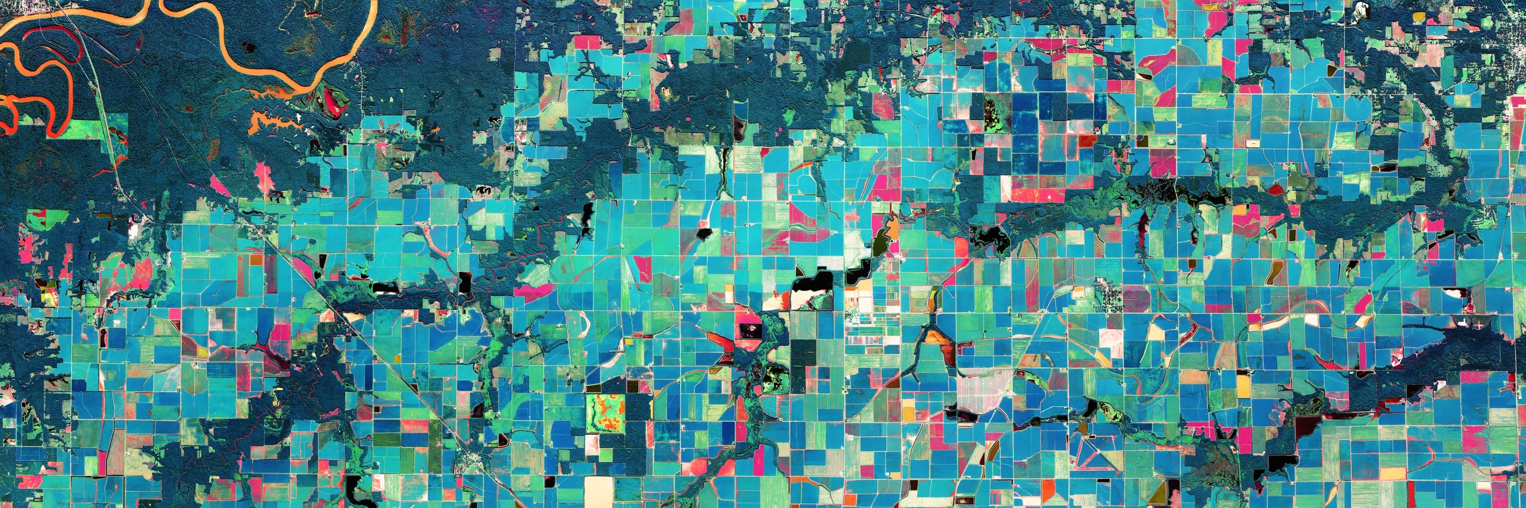 Arkansas Rice Fields — naip 2019, panorama · 3:1 print