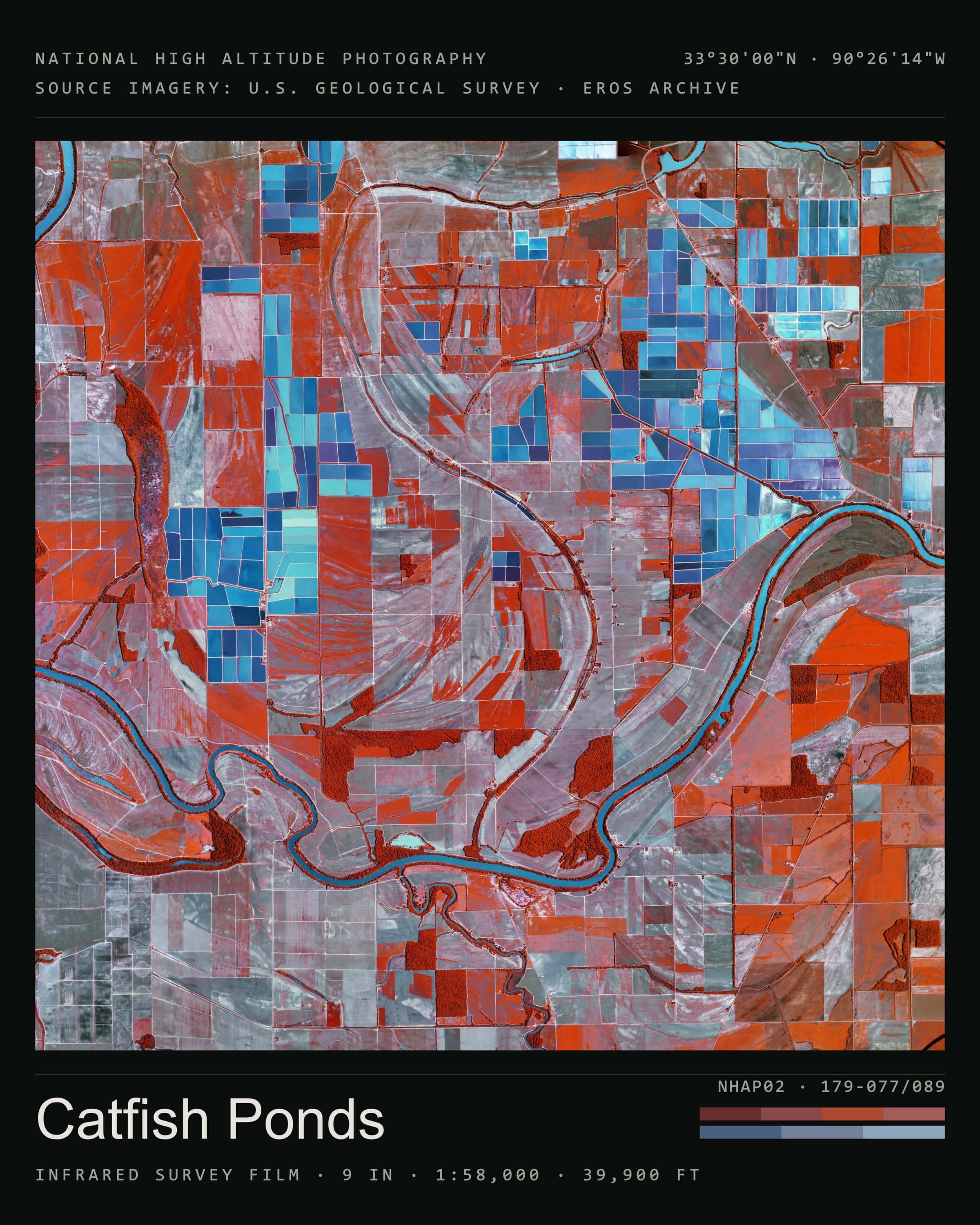 Catfish Ponds Roll 241 · Poster — square · 1:1, titled sheet