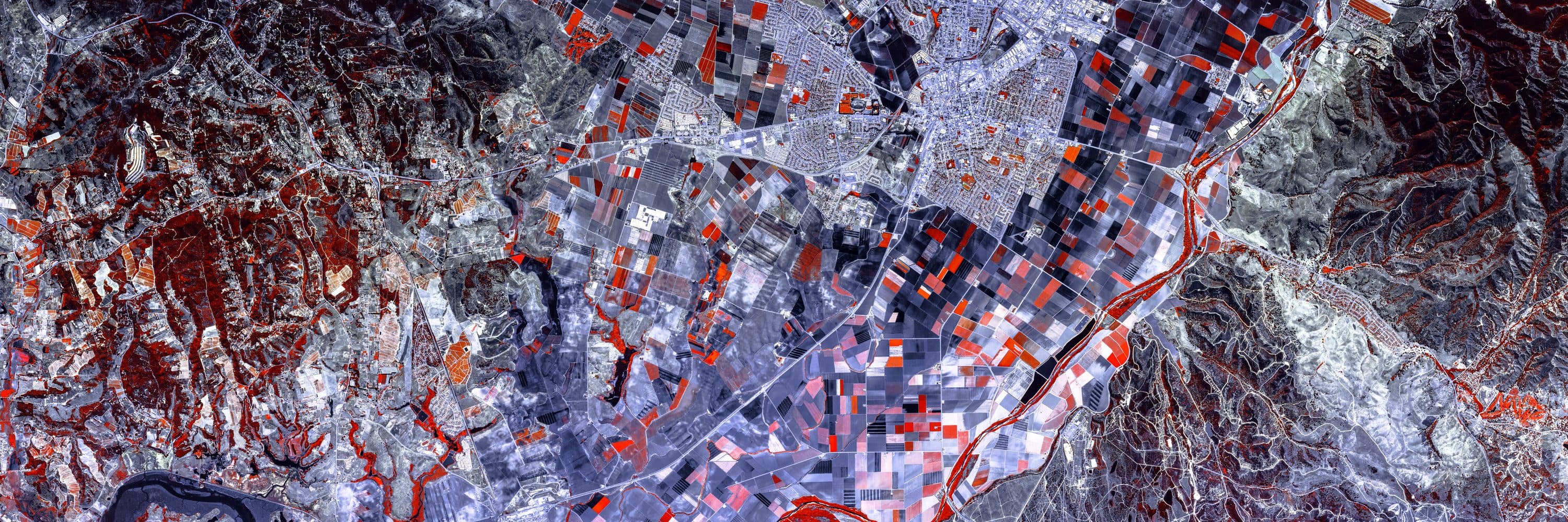 Salinas Valley — color infrared survey composite