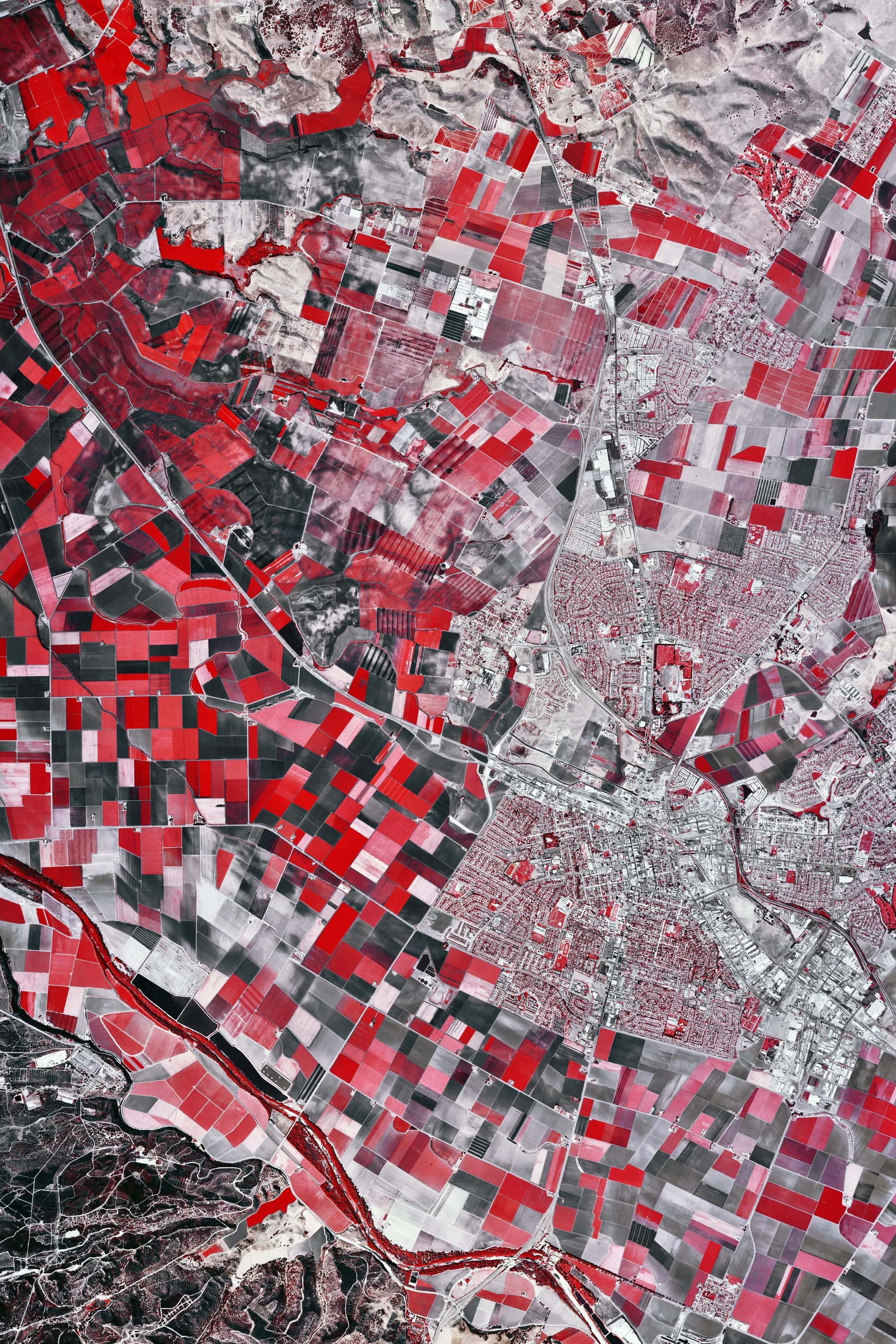 Salinas Valley Roll 467 — roll 467, survey composite