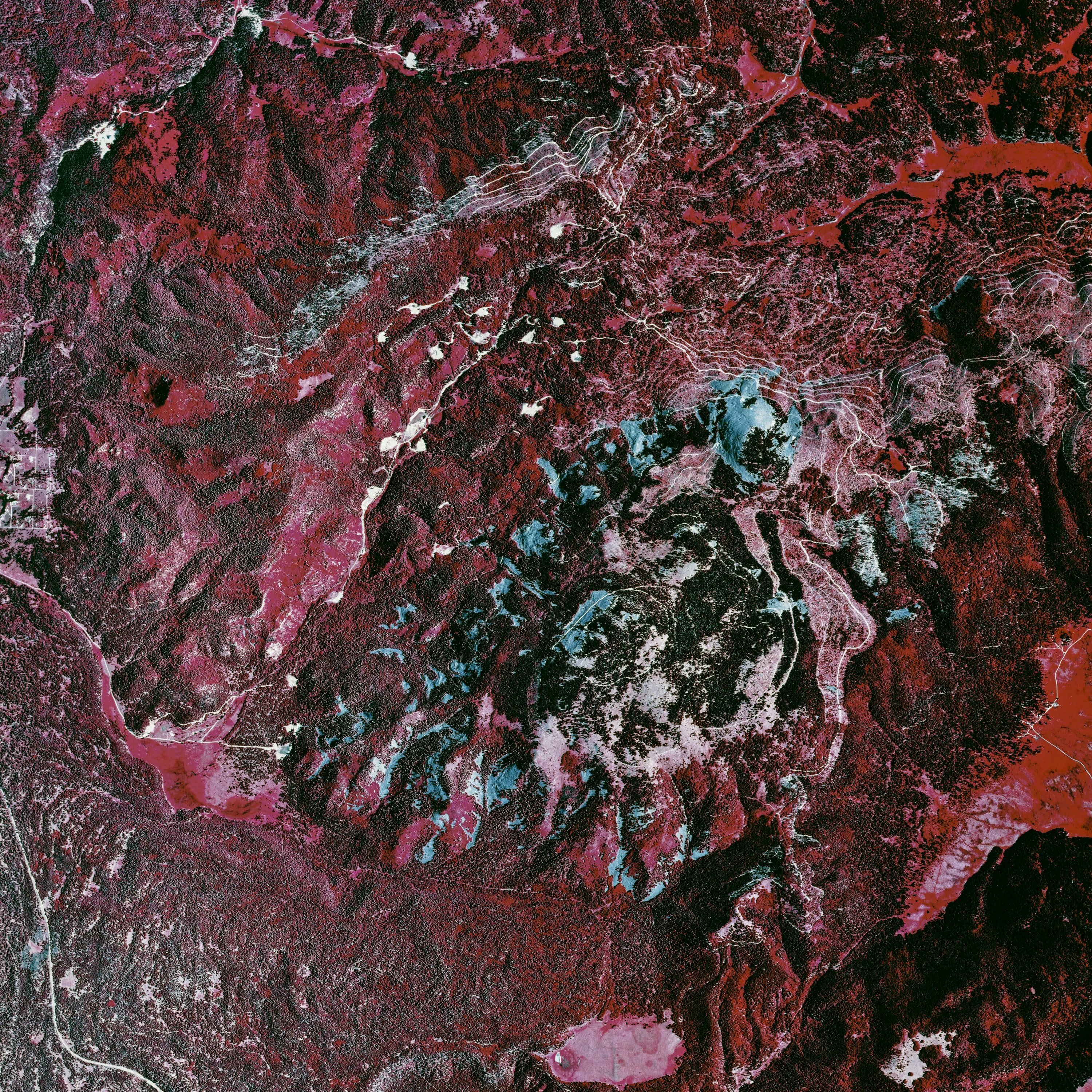 Valles Caldera — roll 417, square · 1:1 · ii print