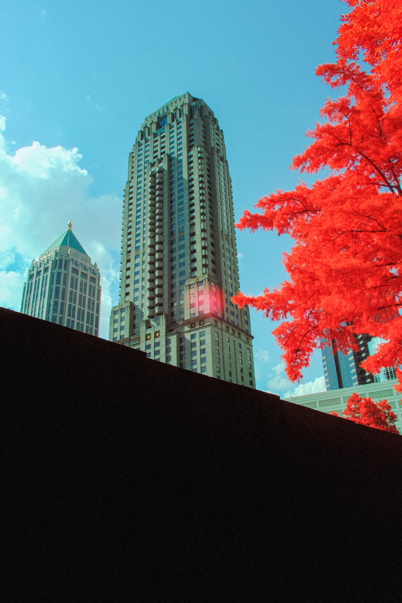 Near-infrared photograph from the Atlanta series — description pending curation