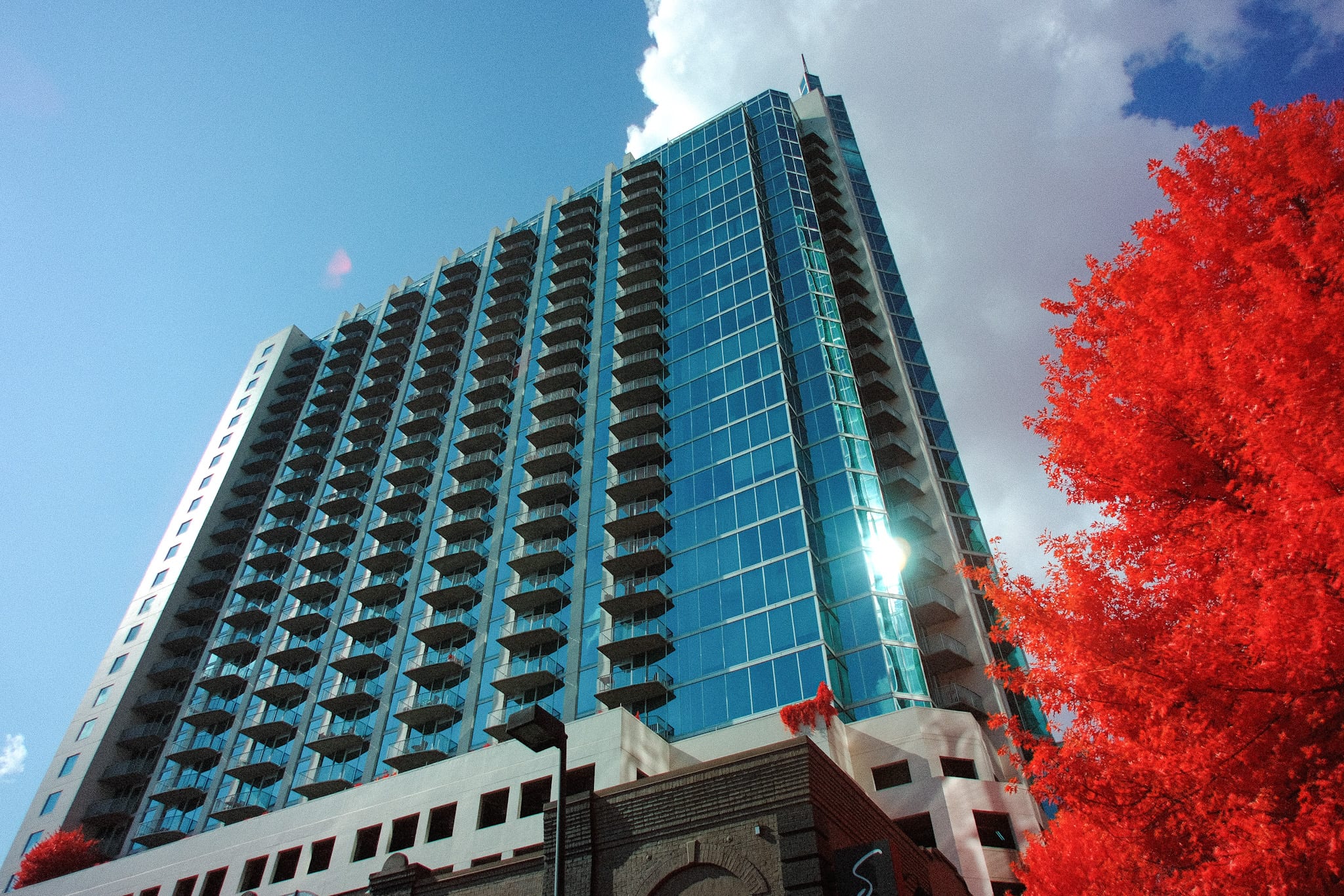 Near-infrared photograph from the Atlanta series — description pending curation