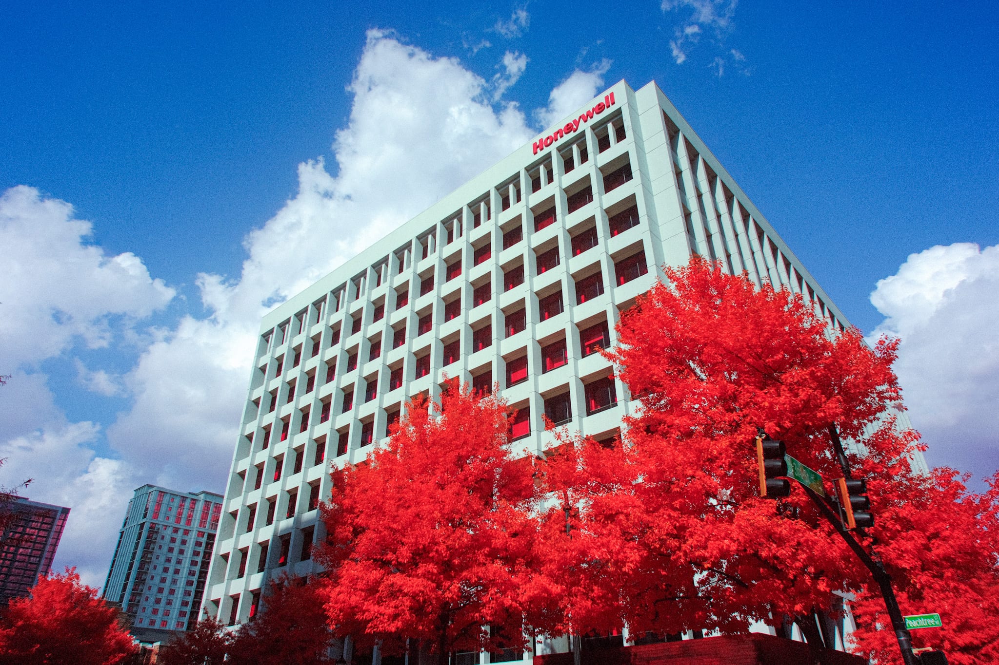 Near-infrared photograph from the Atlanta series — description pending curation
