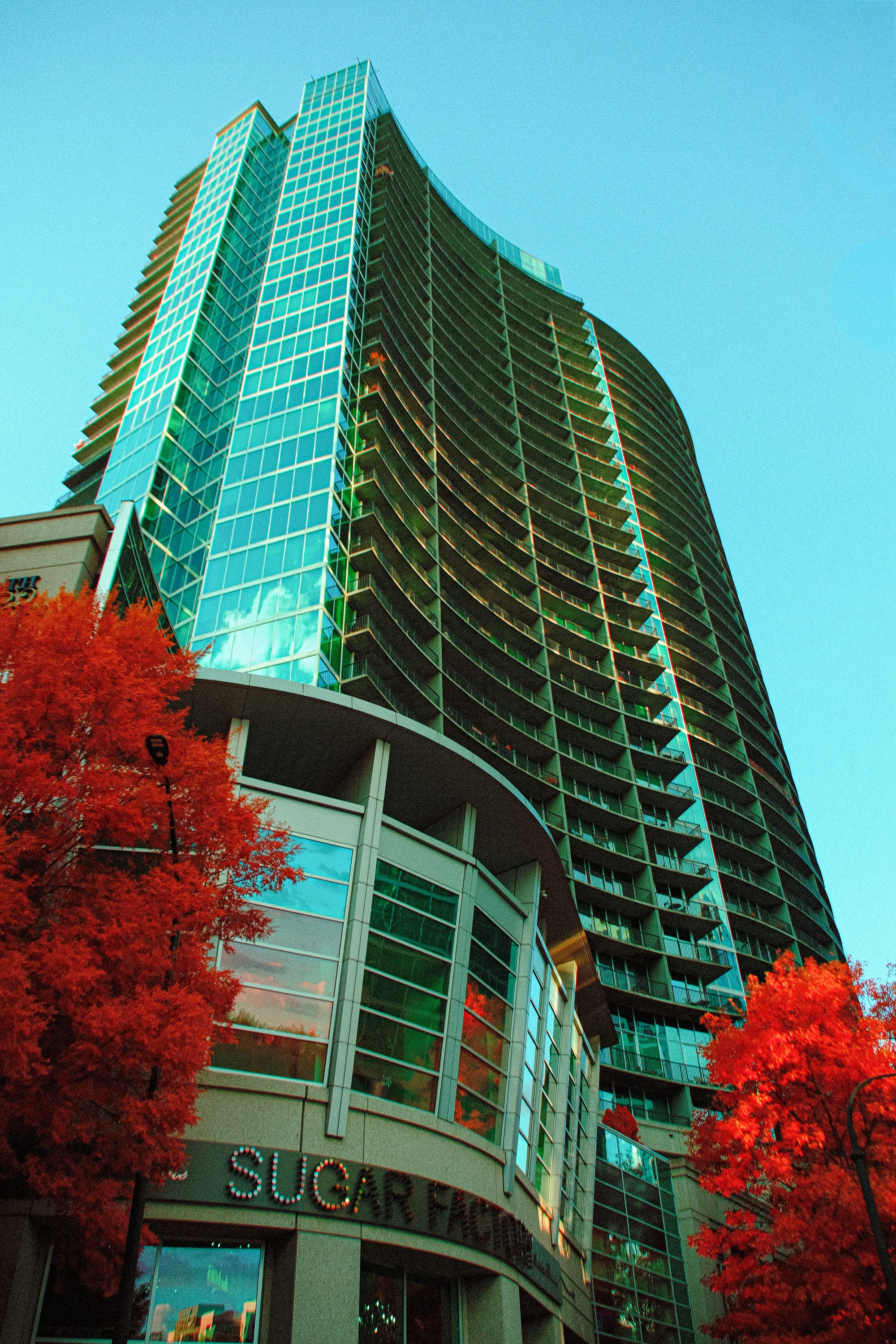Near-infrared photograph from the Atlanta series — description pending curation
