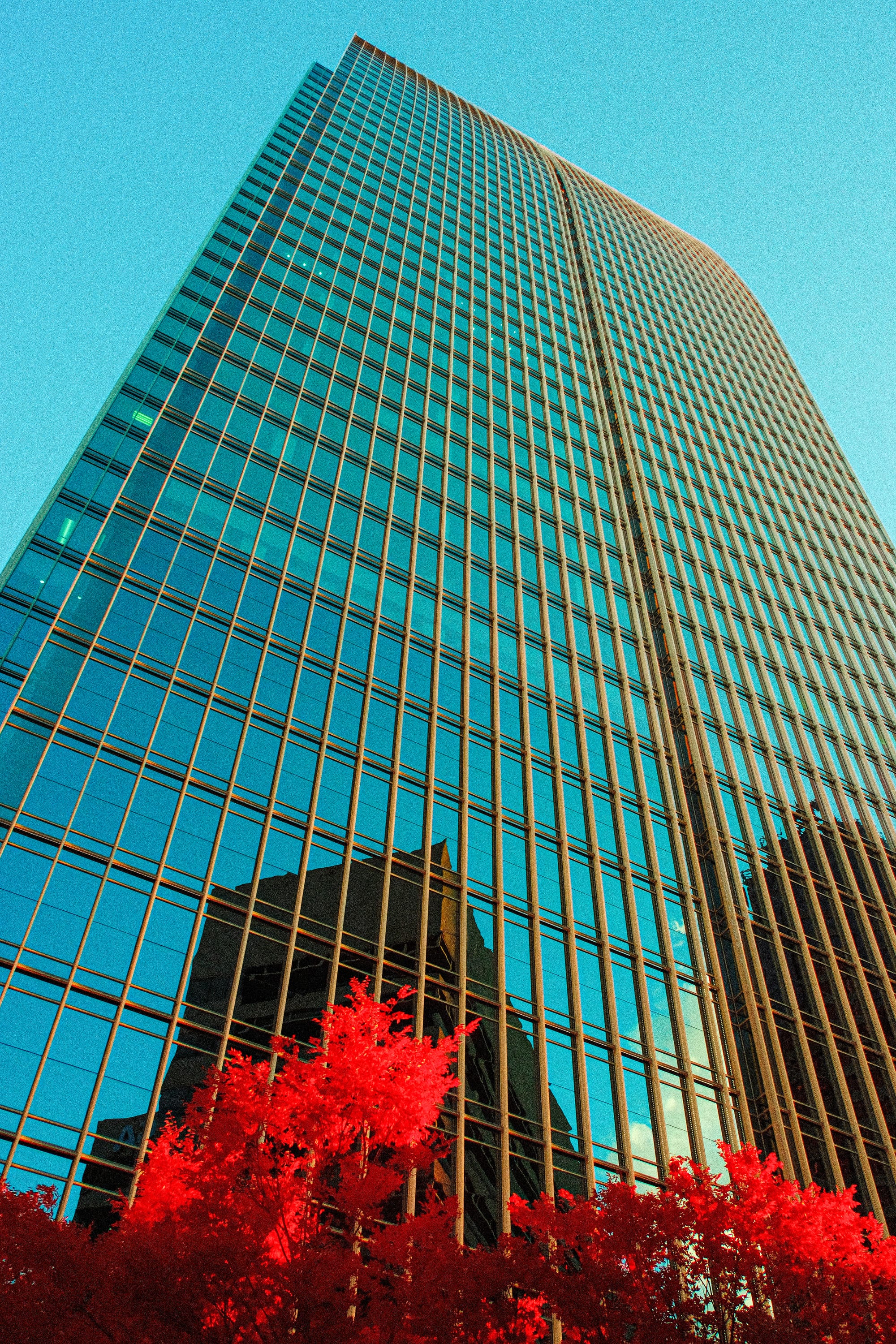 Near-infrared photograph from the Atlanta series — description pending curation