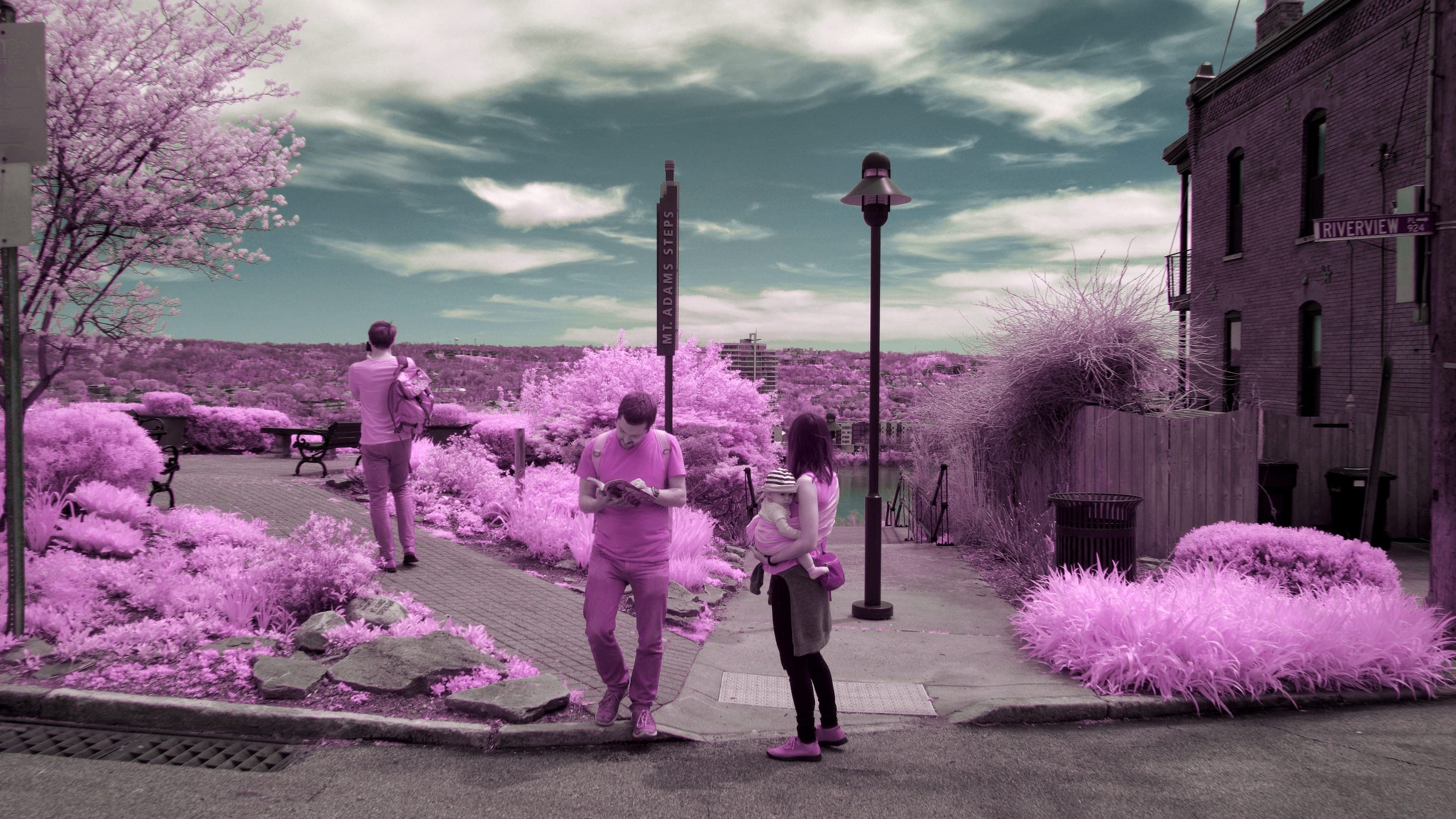 Near-infrared photograph from the Cincinnati series — description pending curation