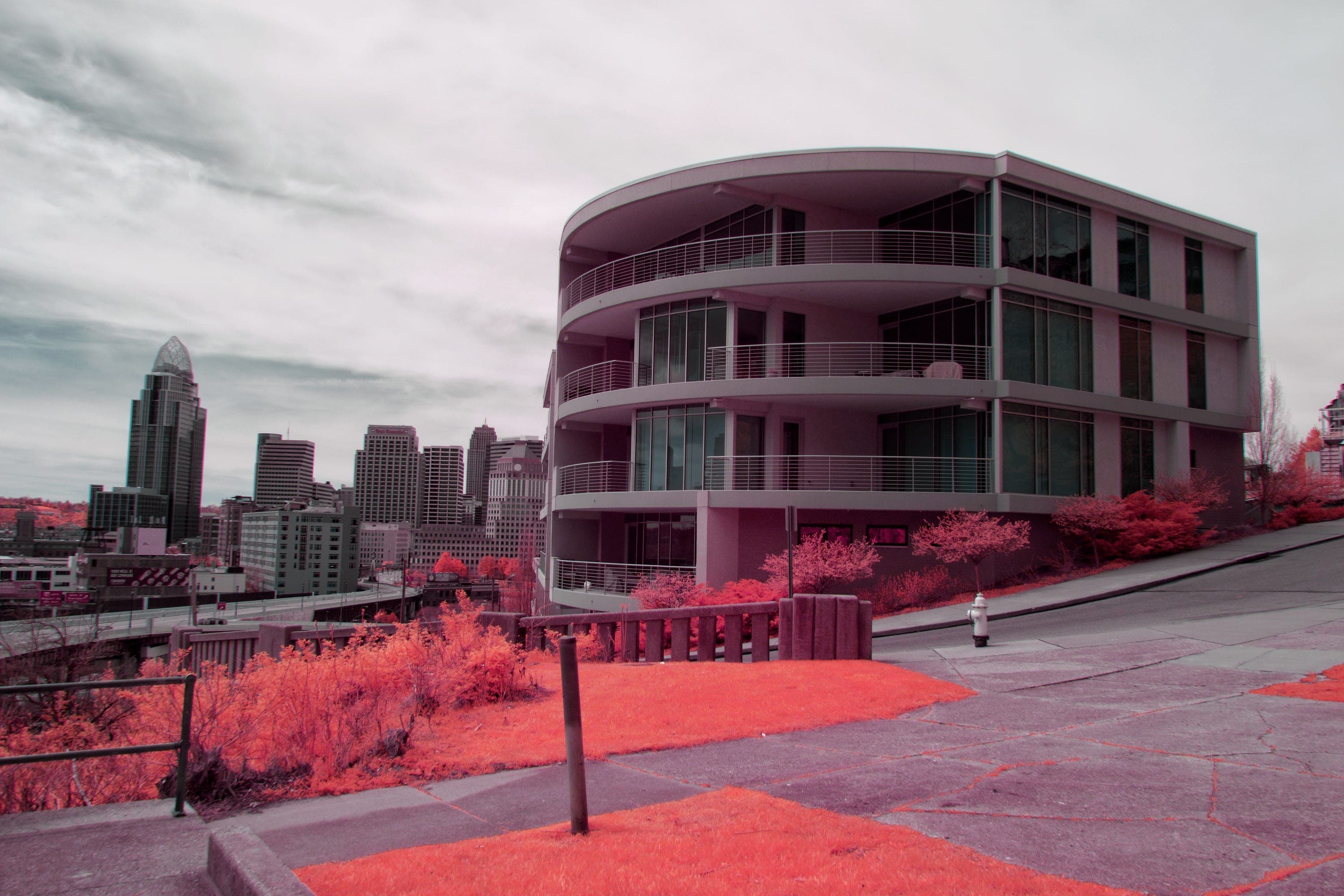Near-infrared photograph from the Cincinnati series — description pending curation