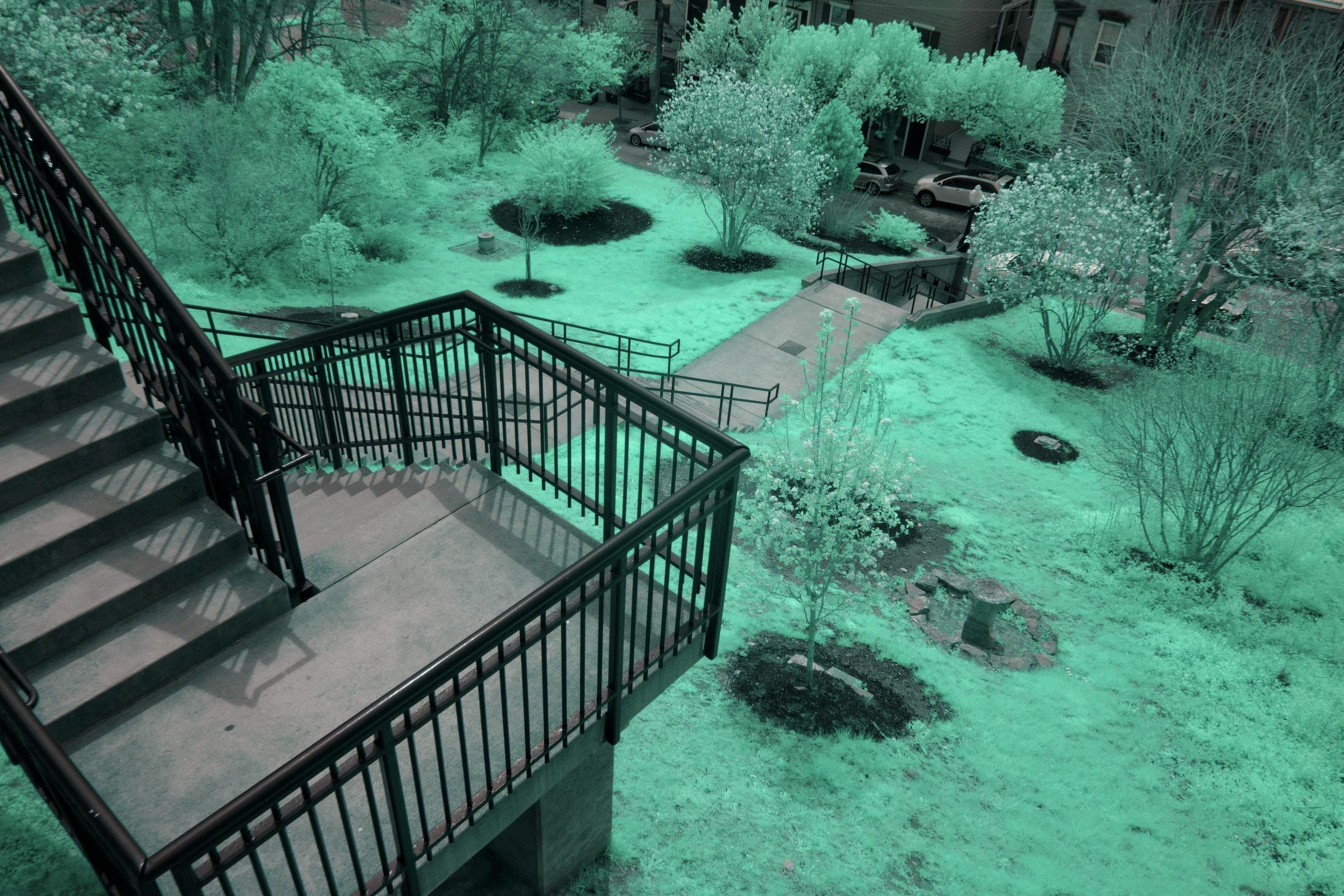 Near-infrared photograph from the Cincinnati series — description pending curation