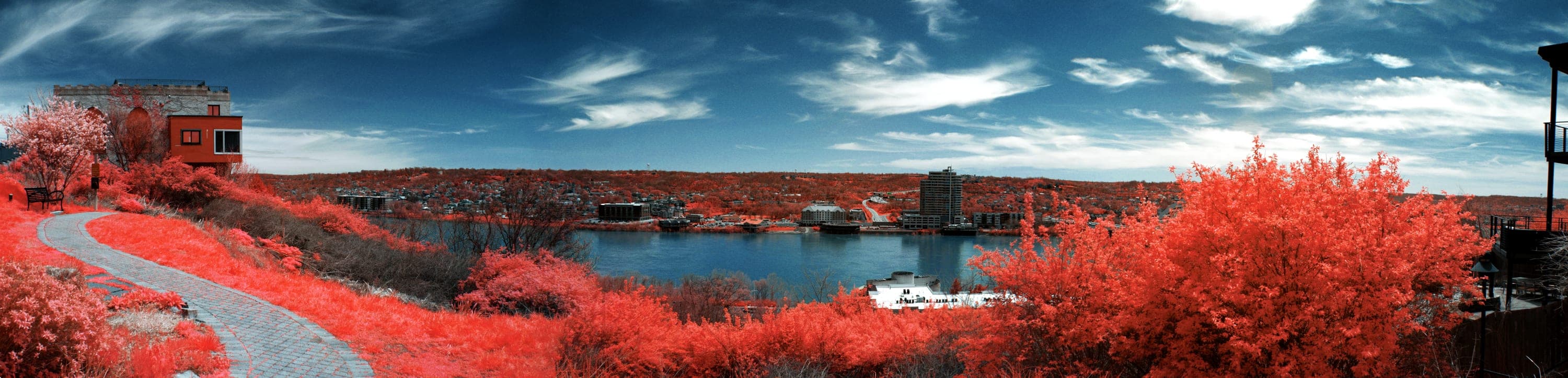 Near-infrared photograph from the Cincinnati series — description pending curation